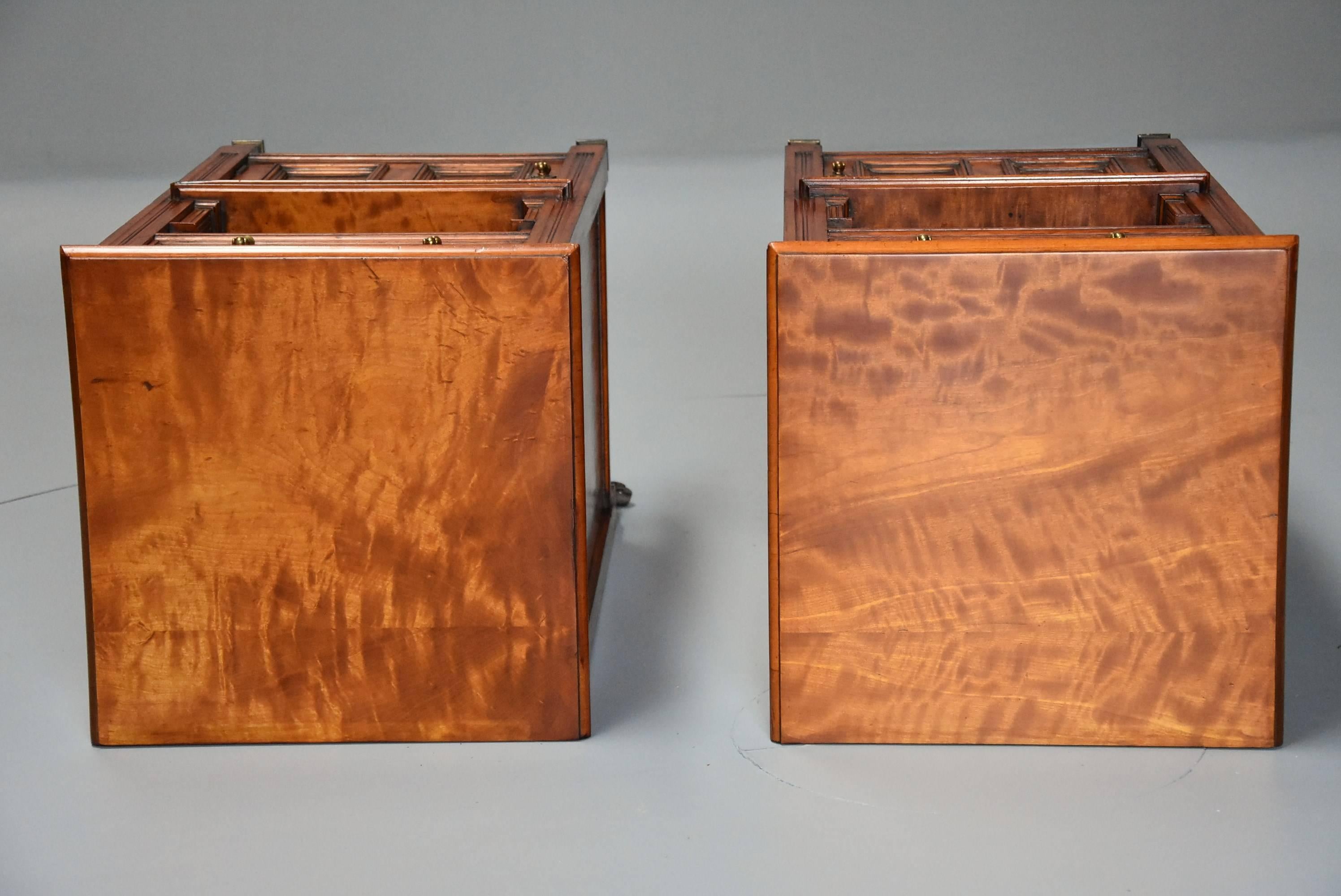 Pair of Late 19th Century Satin Birch Bedside Cabinets with Aesthetic Influence 5