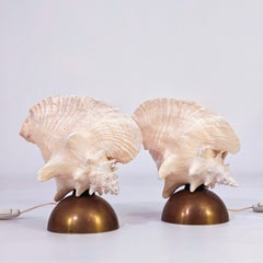 French Riviera and Palm Beach Regency style seashell table lamps, France, 1950s
