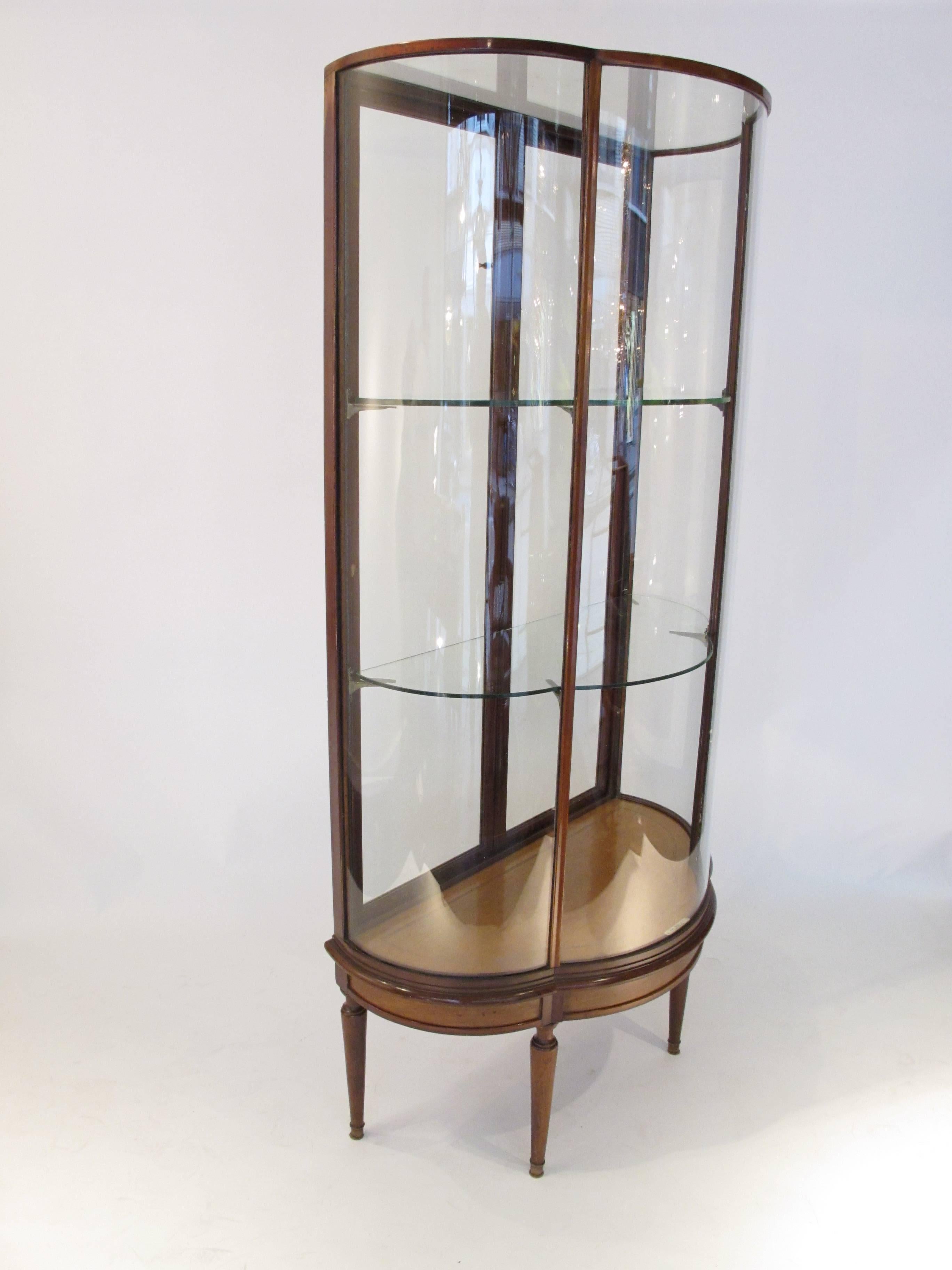 Victorian English Mahogany and Glass Display Case by Sage