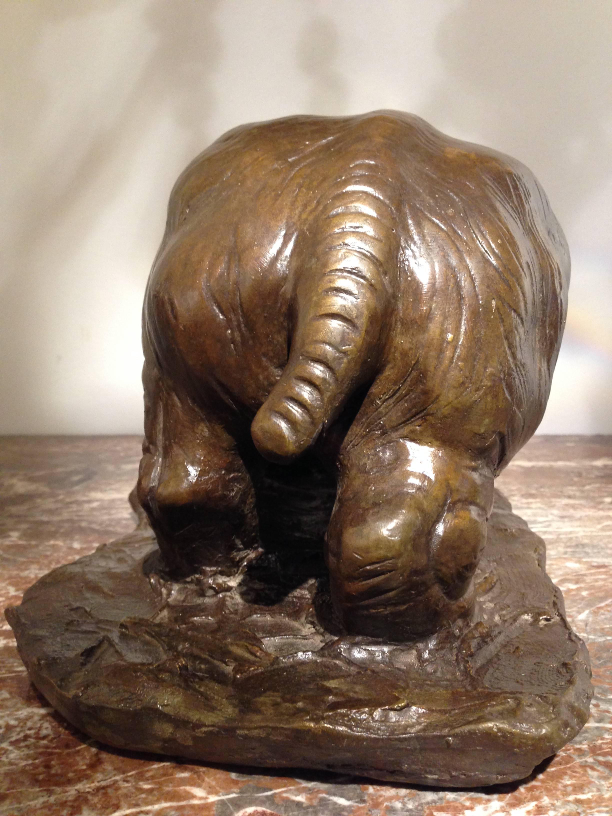 Cast Bronze Hippopotamus