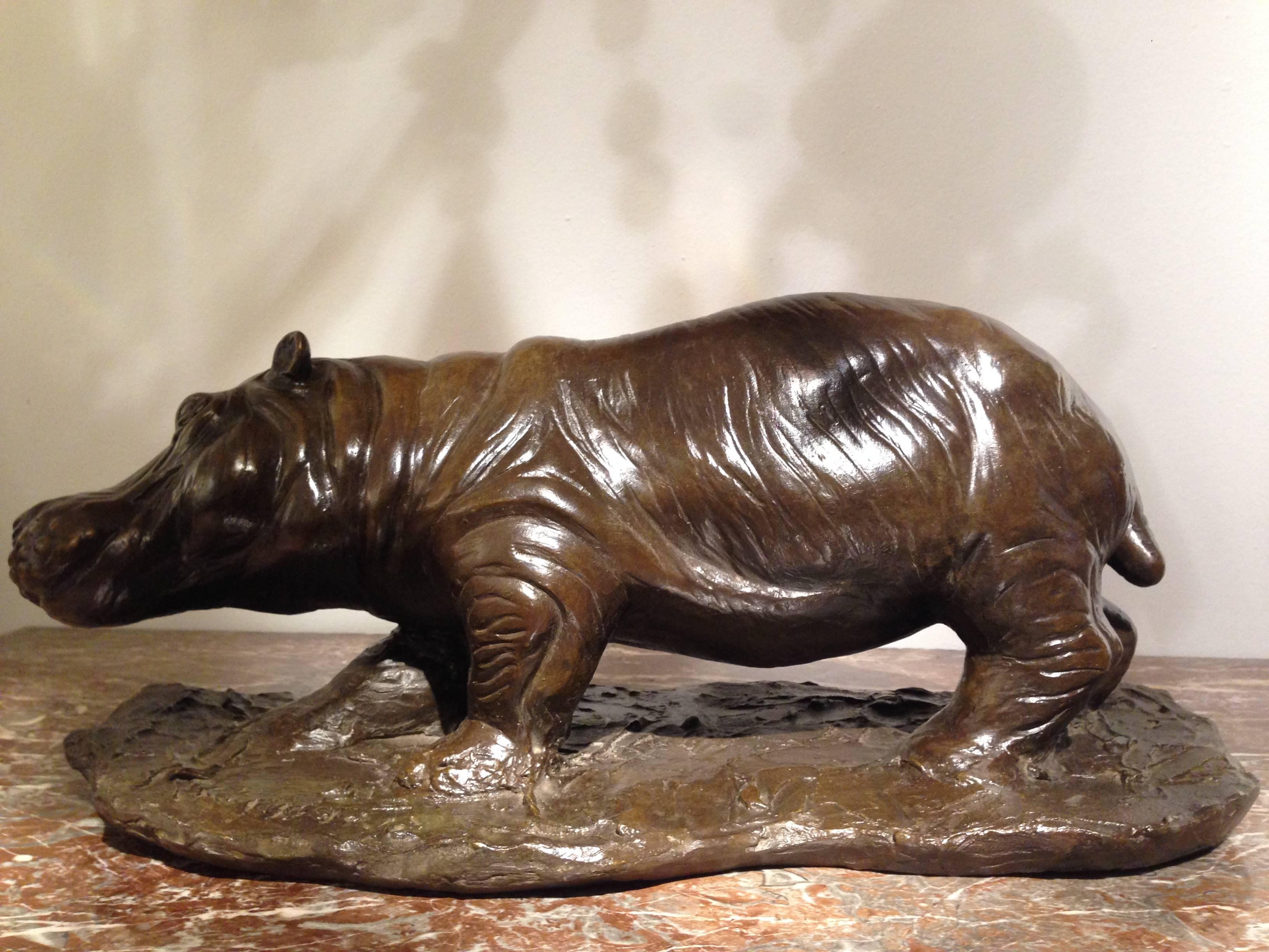 Belgian Bronze Hippopotamus