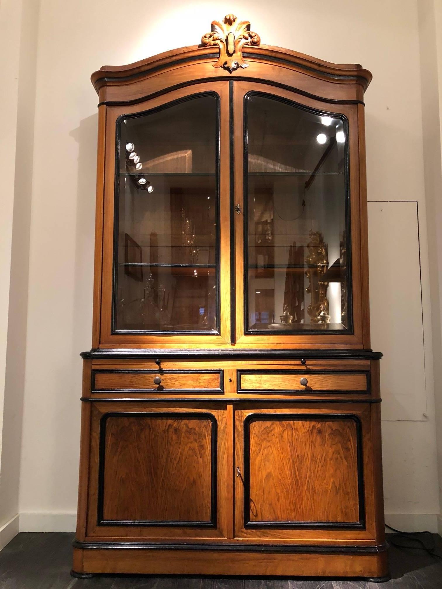 Louis Philippe 19th Century French Walnut Cabinet or Bookcase For Sale