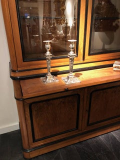 19th Century French Walnut Cabinet or Bookcase