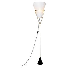 Austrian Midcentury Vice Versa Floor Lamp by Carl Auböck, Brass & Iron