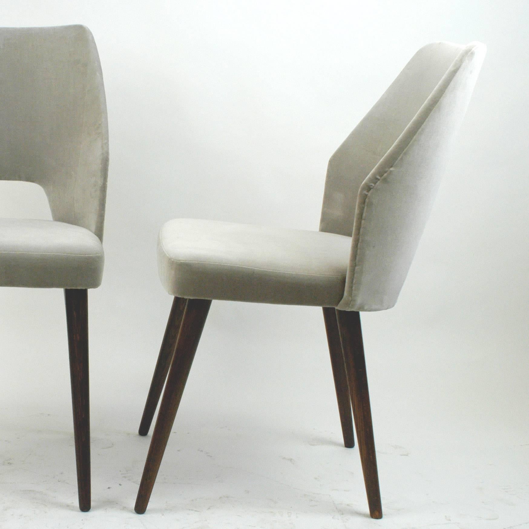 Austrian 50s Walnut and grey Velvet Dining Chairs in the Style of Oswald Haerdtl In Excellent Condition In Vienna, AT