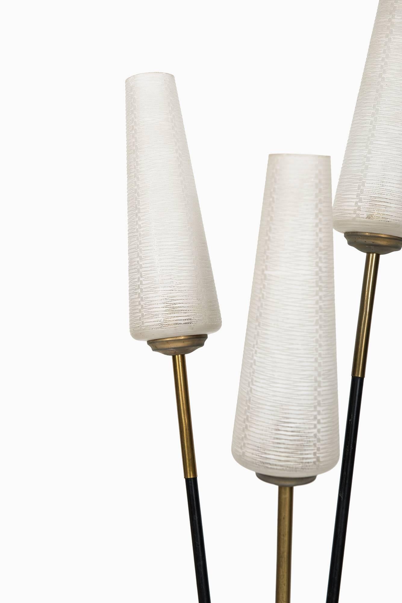 Mid-Century Modern Floor Lamp by Maison Lunel in France