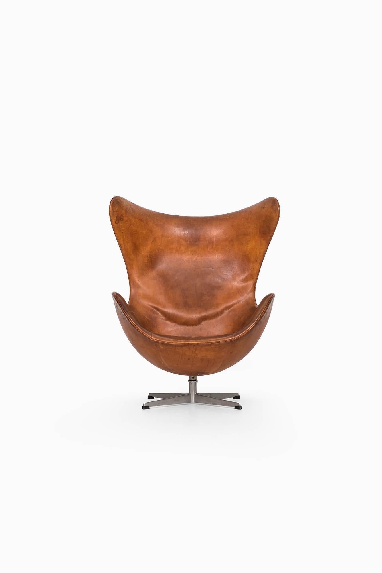 Rare and early easy chair model 3316/egg designed by Arne Jacobsen. Produced by Fritz Hansen in Denmark.