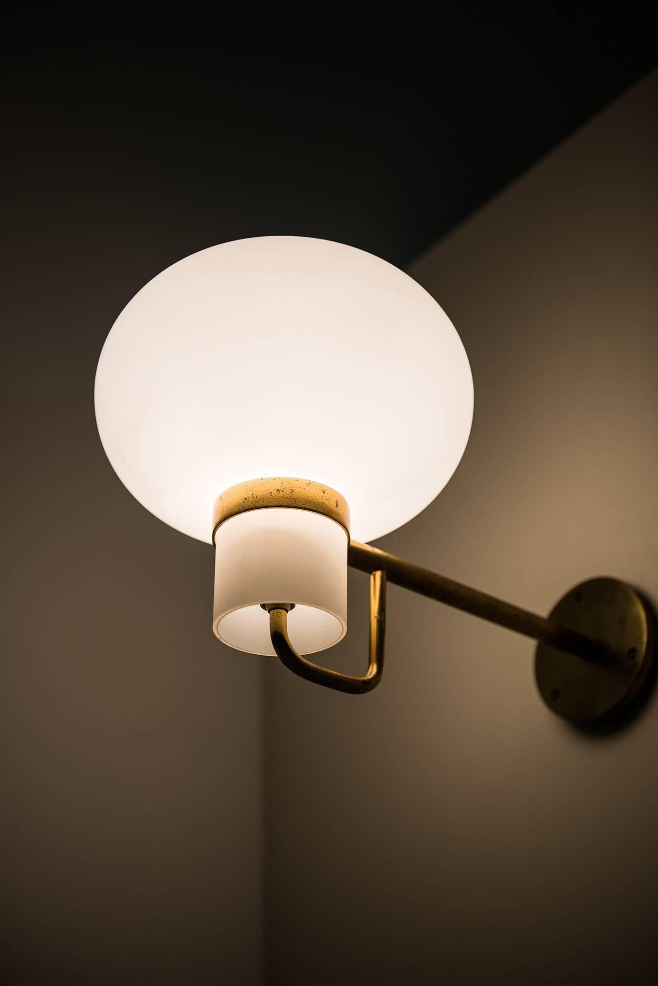 Wall Lamps in Brass and Opaline Glass Produced in Denmark 1