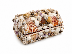 Natural Seashell Encrusted Decorative Keepsake Box, Coastal Shell Art