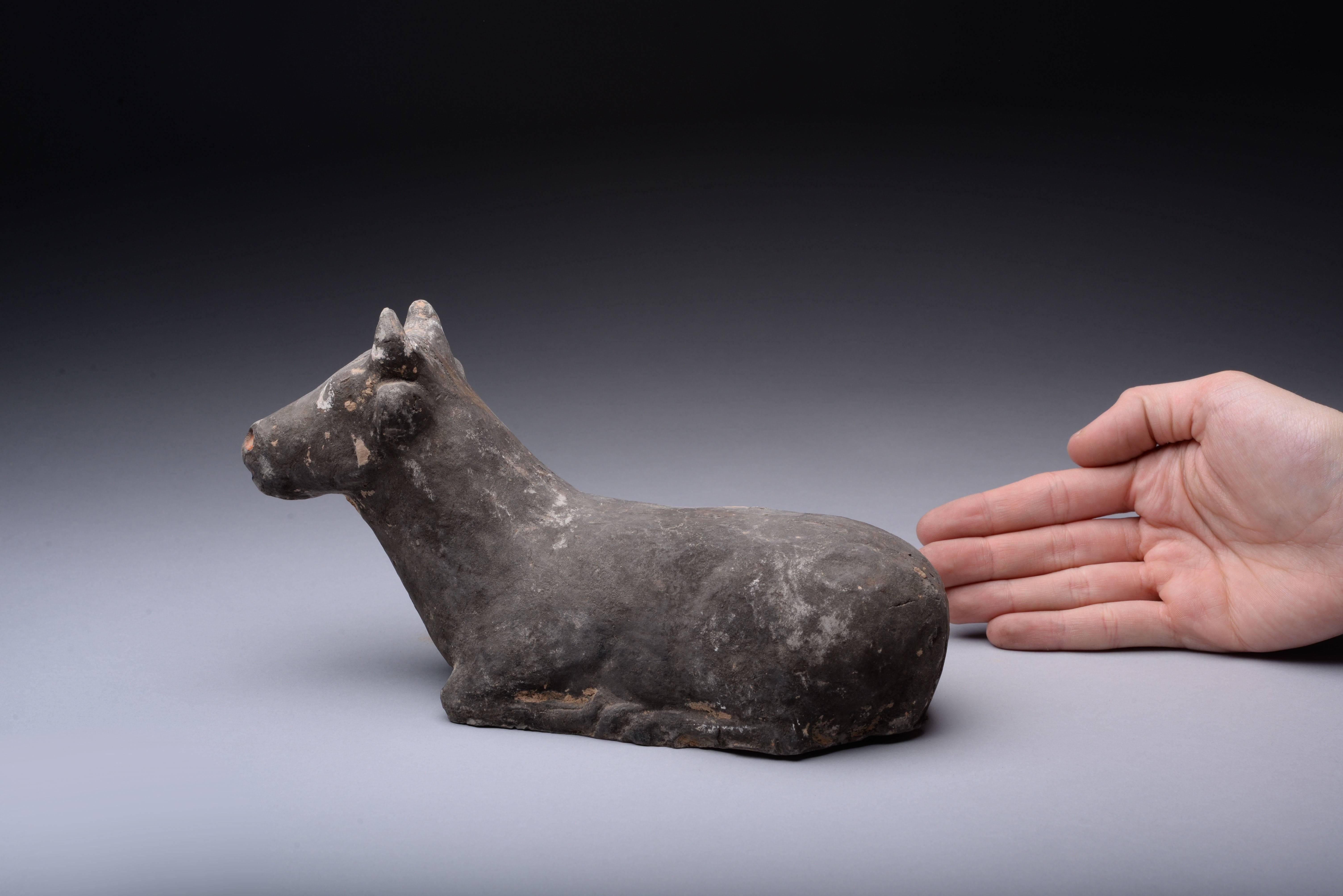 Ancient Chinese Han Dynasty Pottery Bull, 206 BC 1