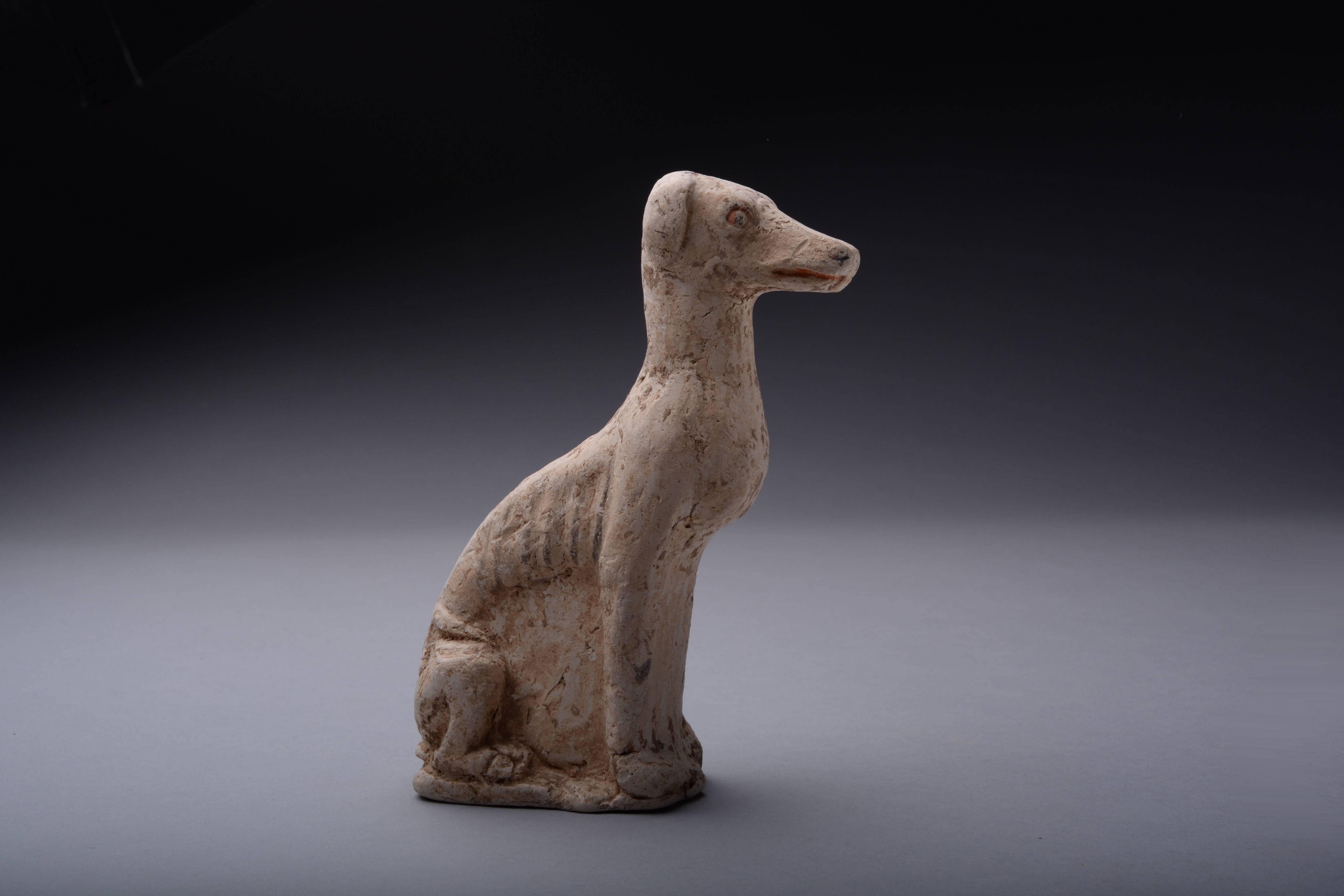 Ancient Chinese Tang Dynasty Pottery Greyhound Dog, 618 AD In Excellent Condition In London, GB