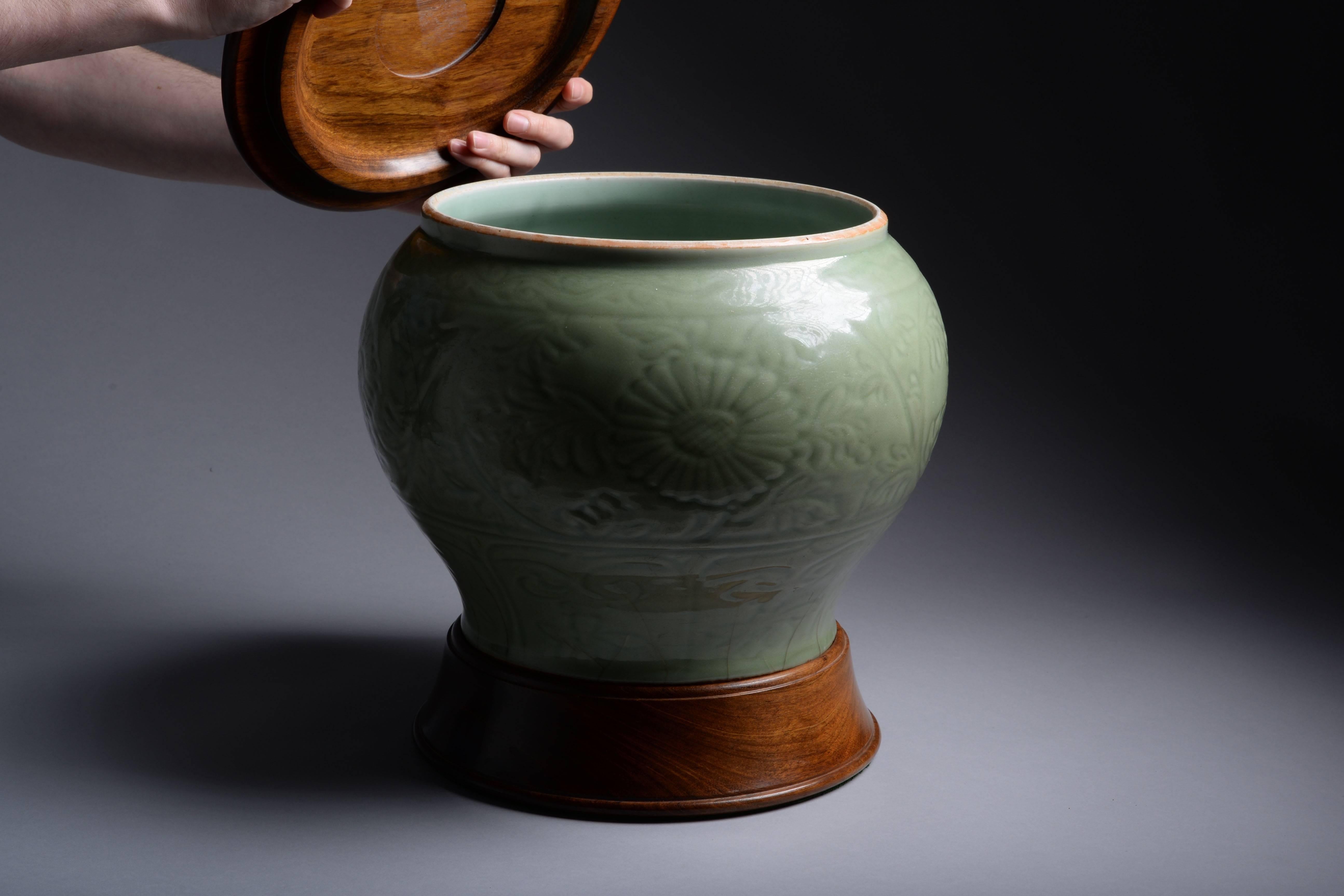 A beautiful Ming dynasty celadon glazed balluster jar, from the Longquan kilns and dating to the 14th-17th century.

The exterior decorated with a band of blossoming chrysanthemum flowers and scrolling foliage, a lappet band encircling the upper