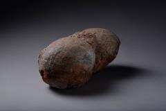 Prehistoric Fossilized Hadrosaur Dinosaur Egg Nest Fossil, Cretaceous Period