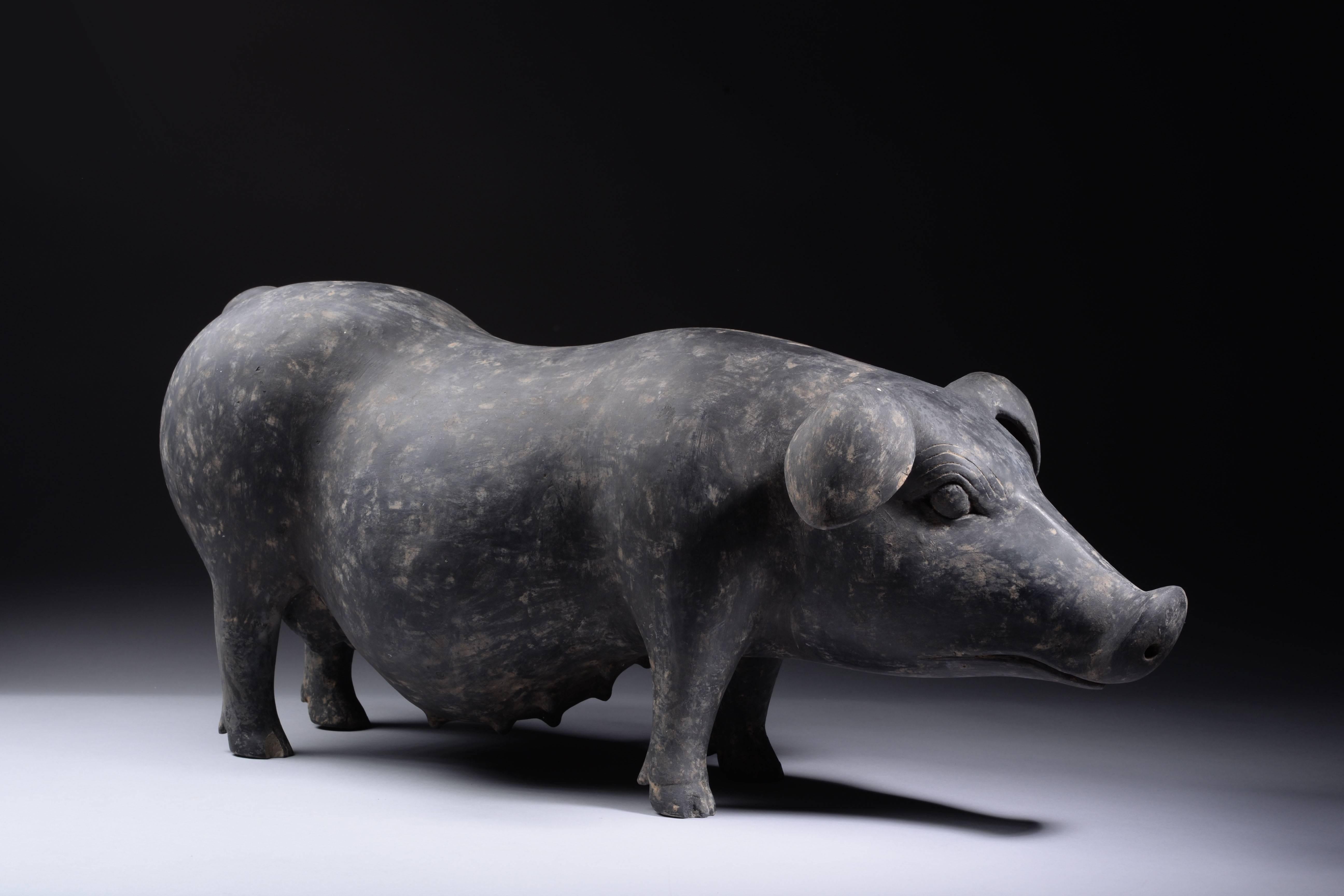 18th Century and Earlier Very Large Ancient Chinese Pottery Han Dynasty Pig, 206 BC