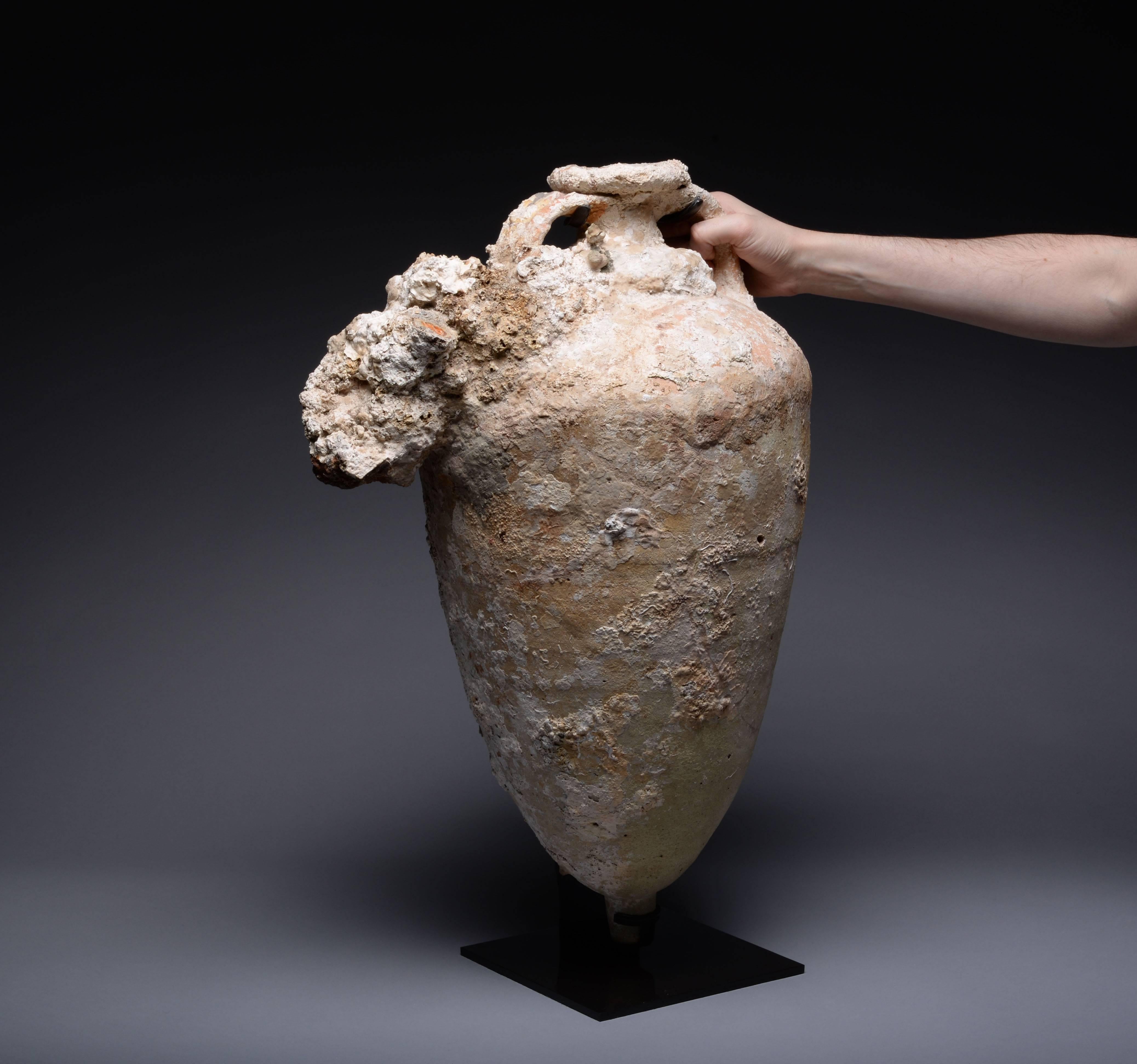 A large and beautifully encrusted ancient Roman transport Amphora, sea salvaged and dating to circa 100 AD.

Salvaged from the depths of the Mediterranean, this large vessel was lost in some ancient shipwreck. Once filled with the produce of the