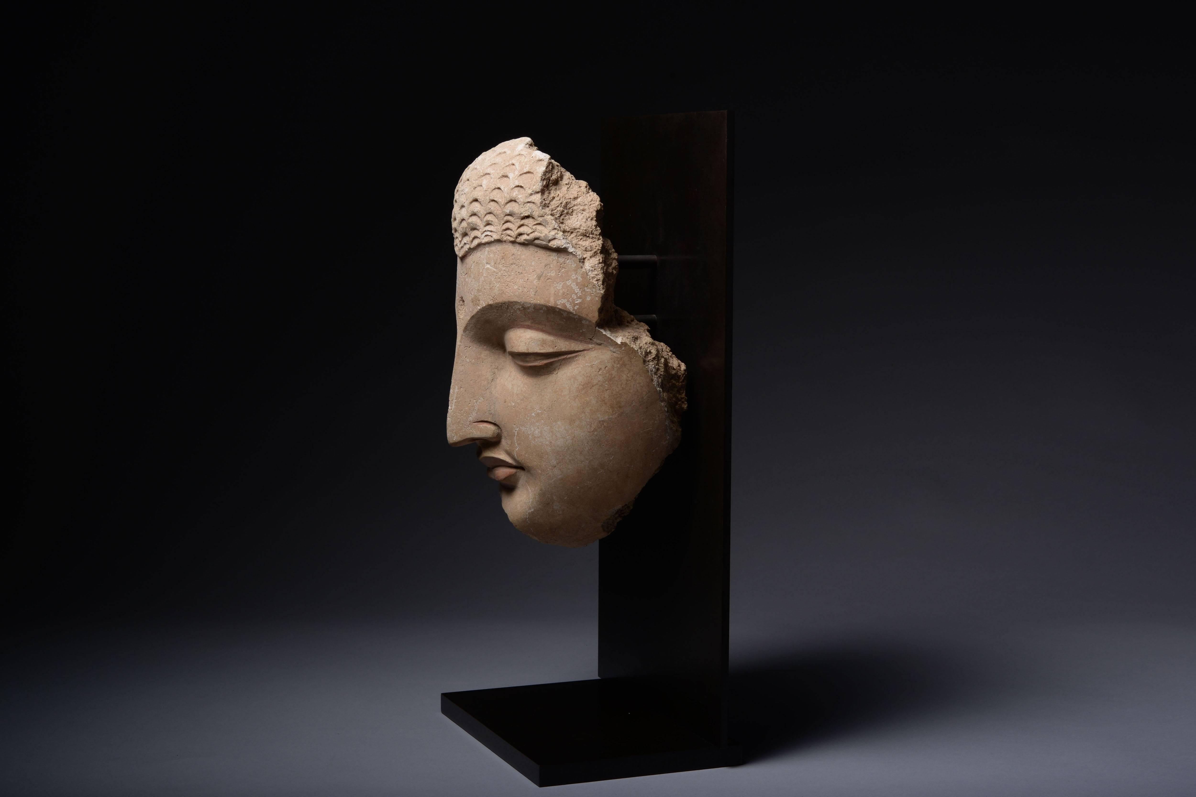 Exceptional Ancient Gandharan Buddha Head Sculpture, 350 AD 2