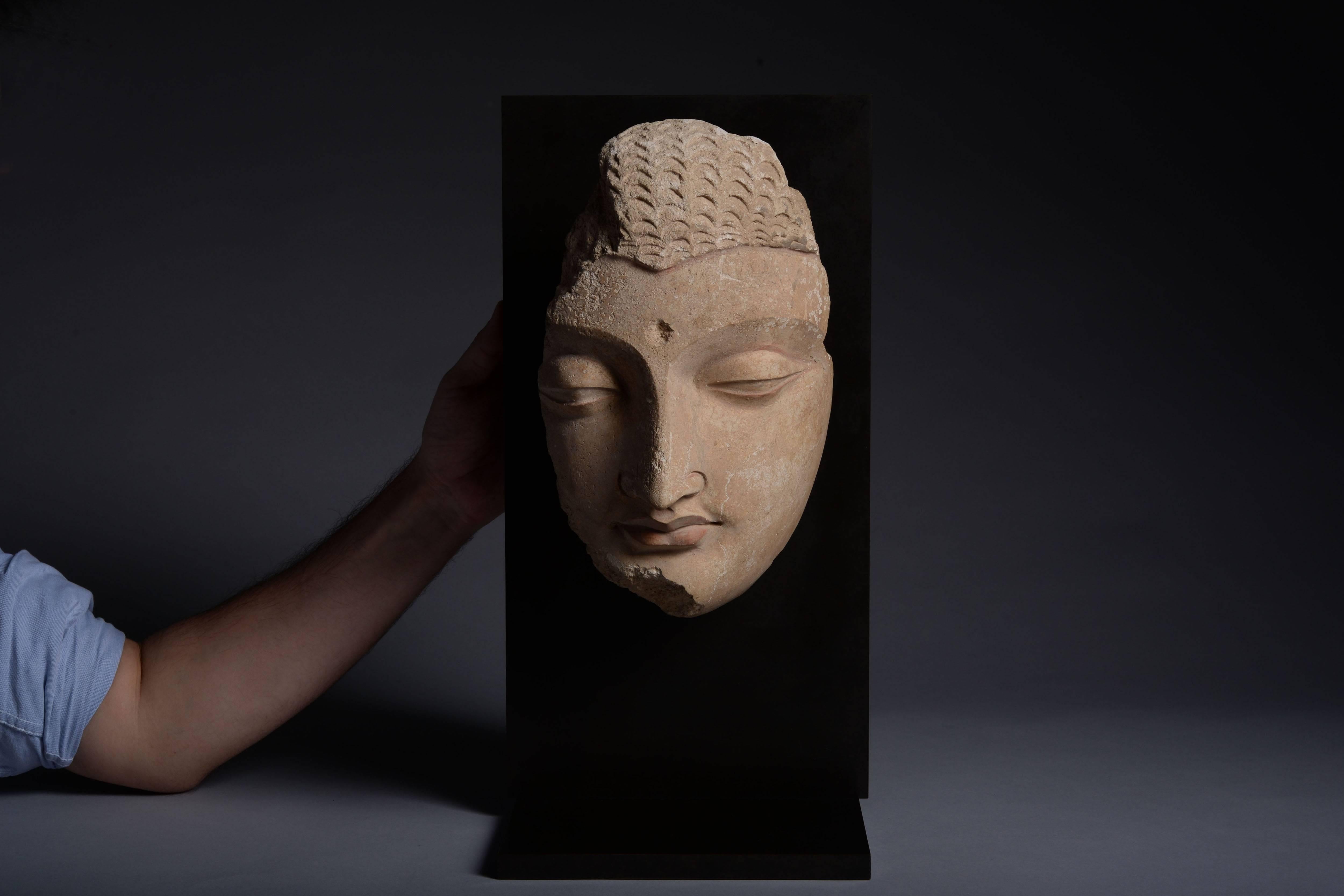 18th Century and Earlier Exceptional Ancient Gandharan Buddha Head Sculpture, 350 AD