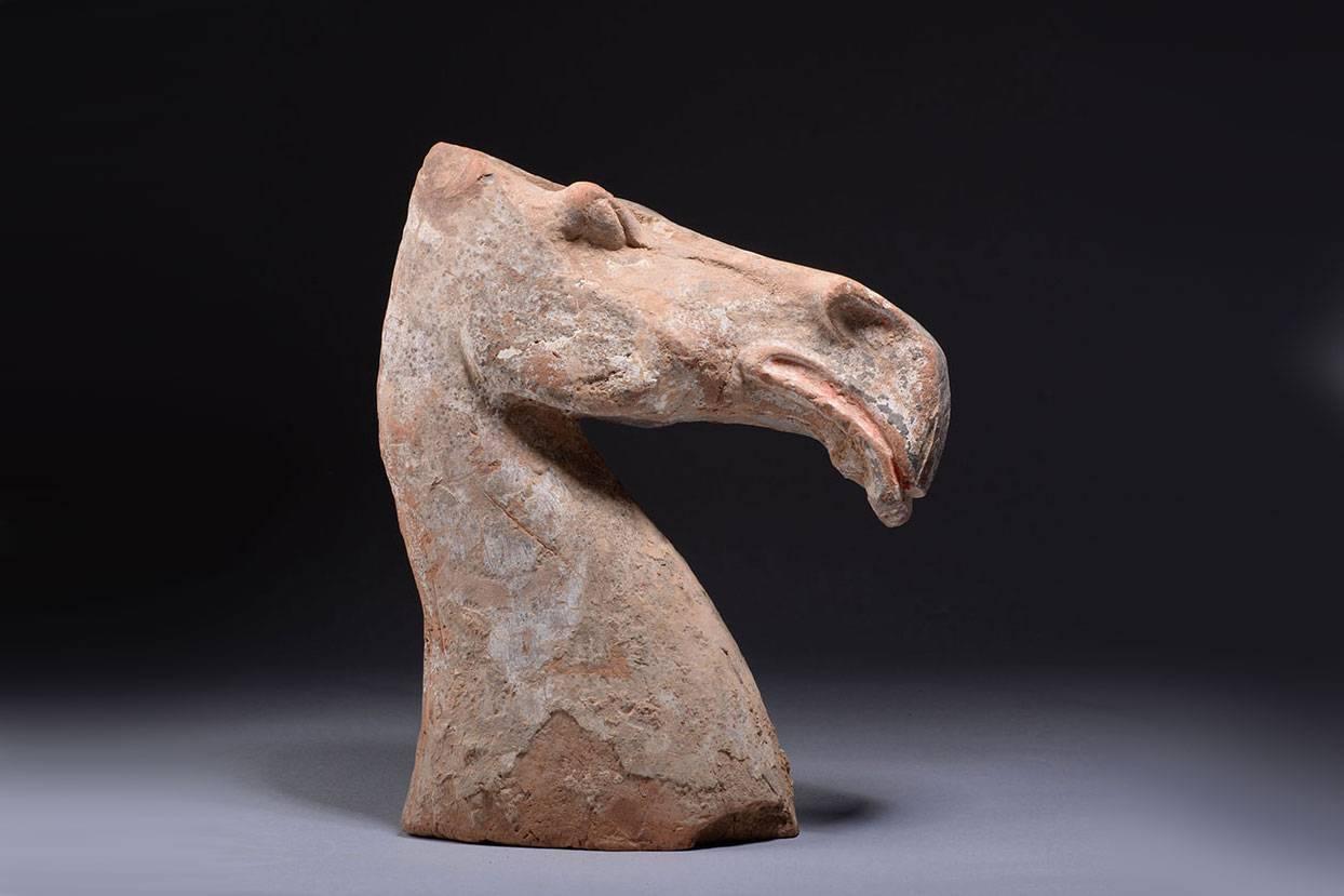 Ancient Chinese Han Dynasty Pottery Horse Head Sculpture, 202 BC In Excellent Condition In London, GB