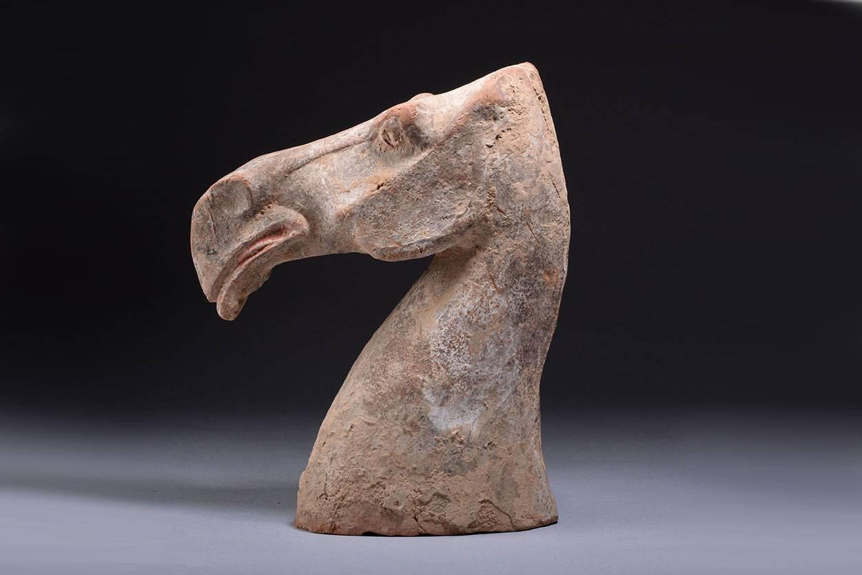 A powerfully sculpted ancient Chinese Han Dynasty horse head, of beautiful angular style and dating to 202 BC-220 AD. With an imposing sense of monumentality, Han horse sculpture is famous for its style and is recognised as being amongst the finest