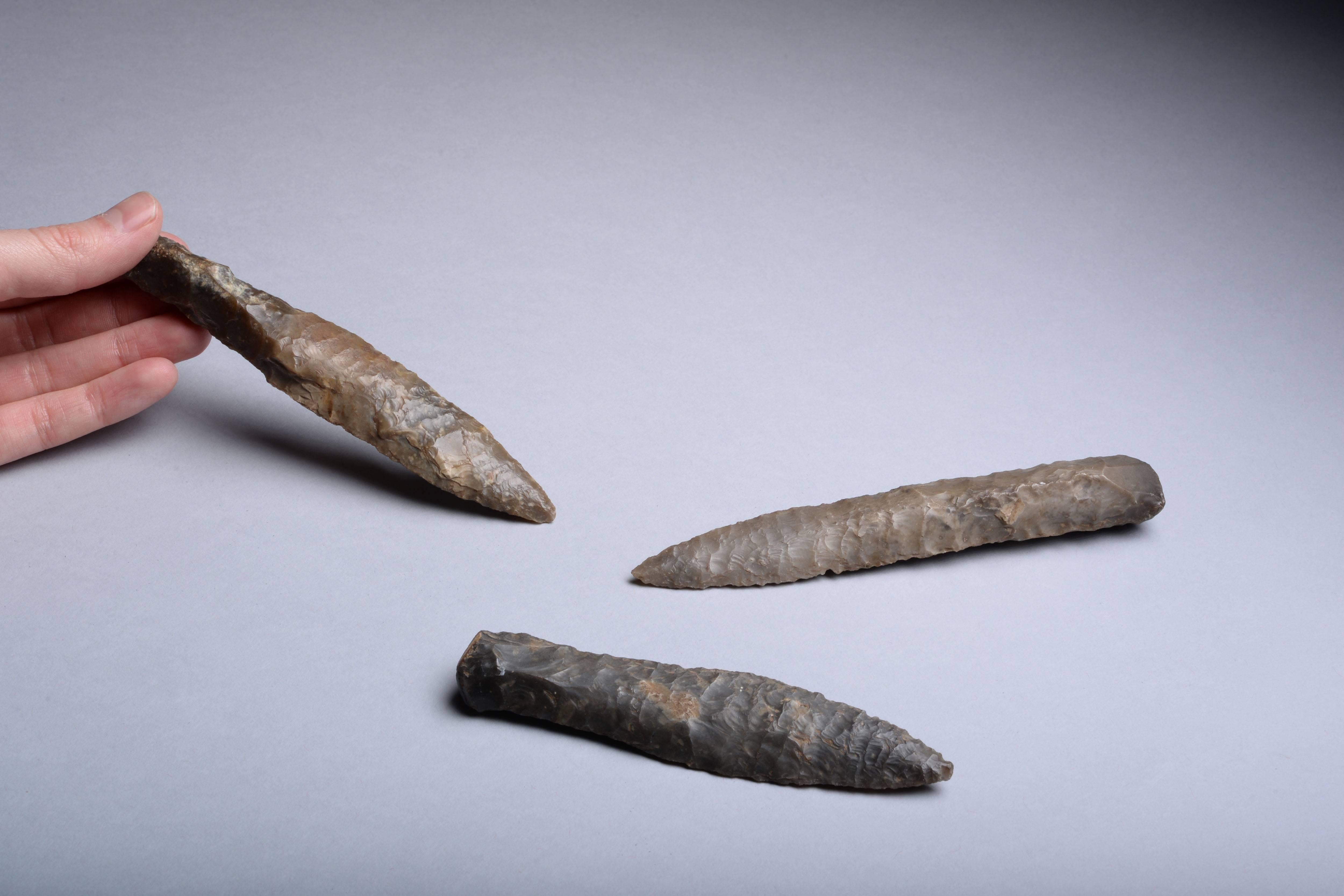 A collection of Scandinavian Neolithic flint daggers from the Holst collection, dating to 1900-1700 BC.

Flint daggers such as these represent the pinnacle of Prehistoric flintworking. Delicately and beautifully knapped from three pleasing pieces