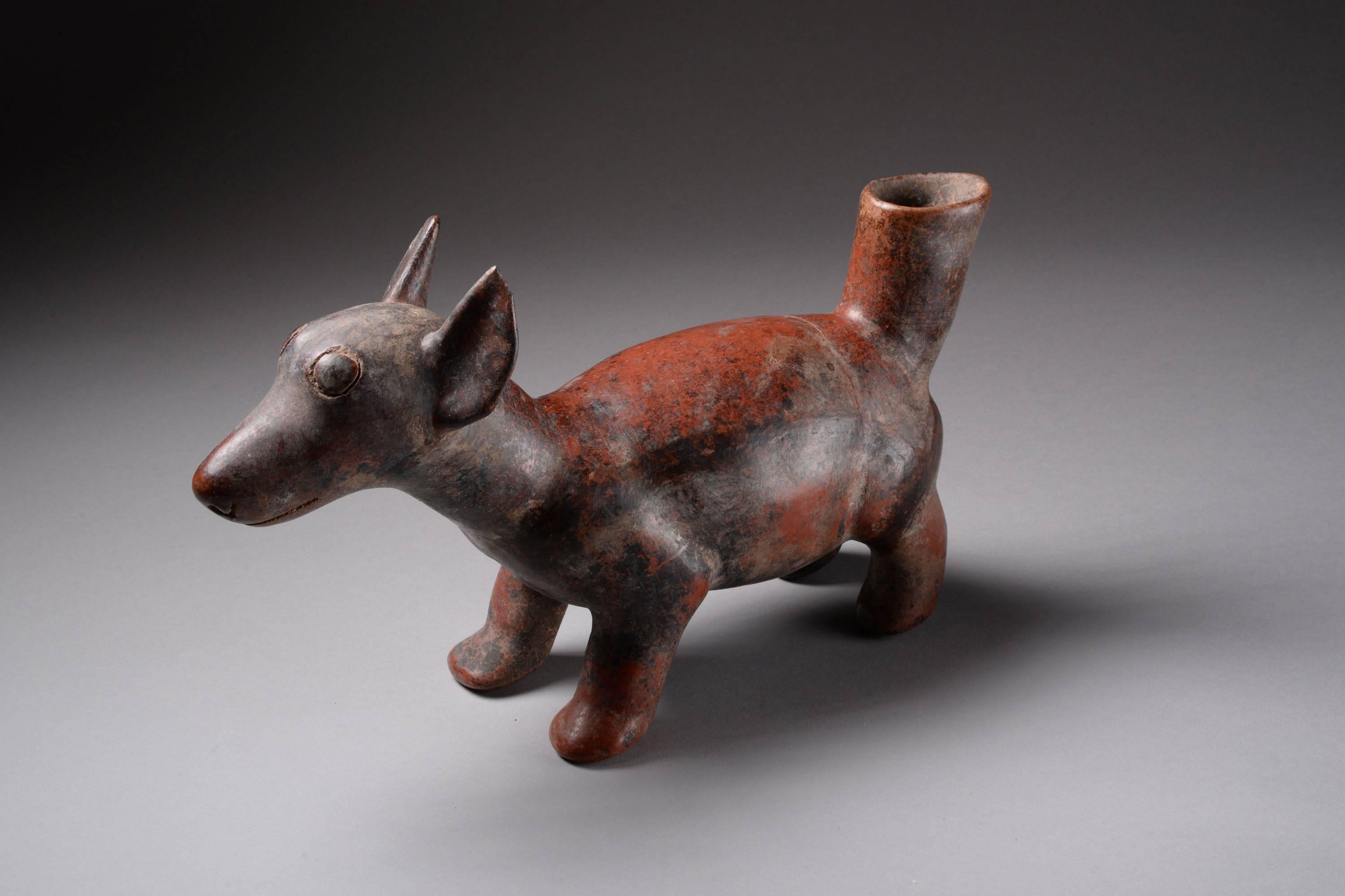 pre columbian dogs