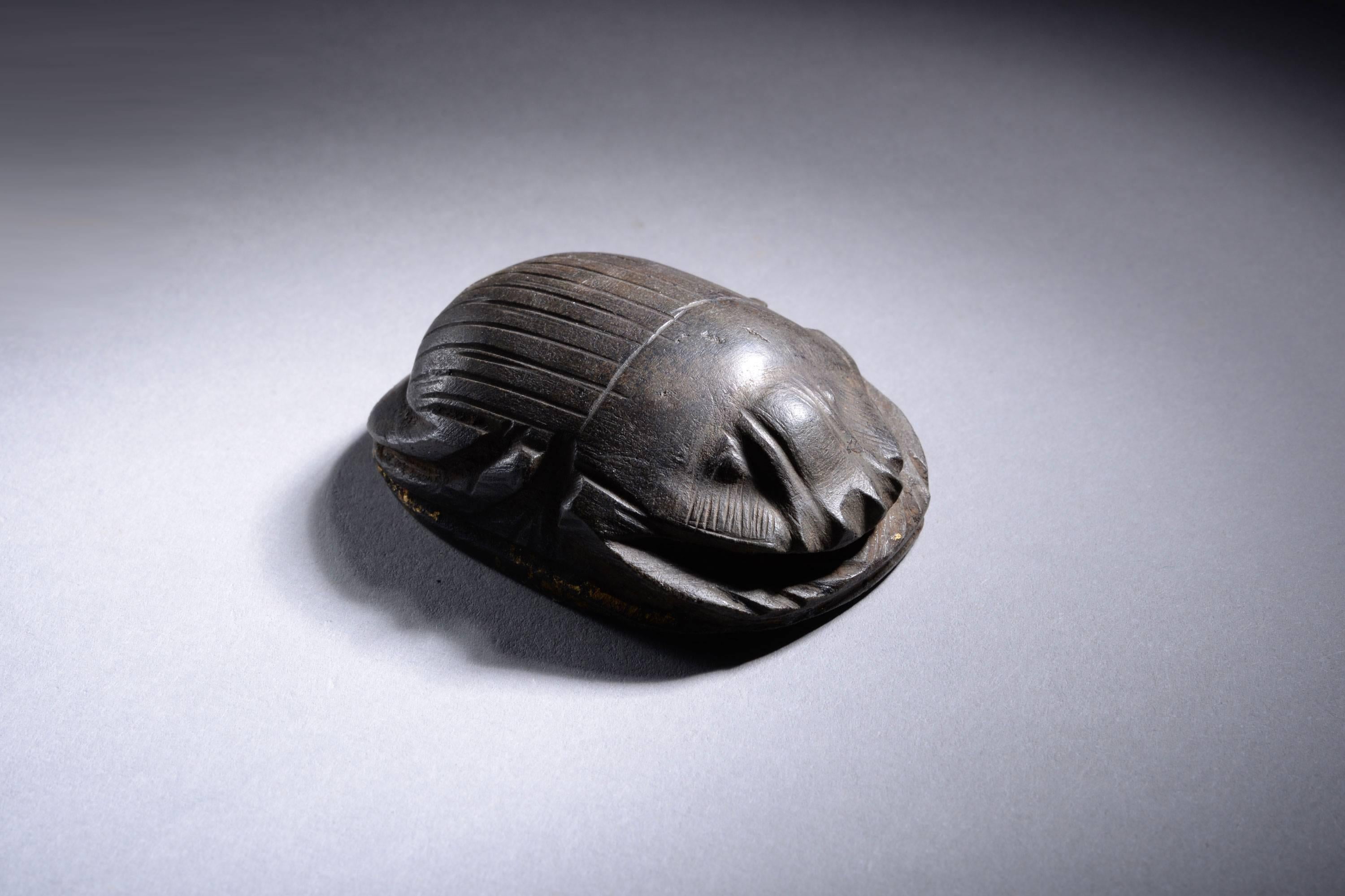 A large ancient Egyptian hardstone heart scarab of fine quality, dating to the Late Period, c. 664 - 332 BC.

Naturalistically carved from black schist or similar hardstone, with a detailed clypeus and striated wing-case, the legs articulated, the