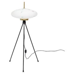 Lampade da terra