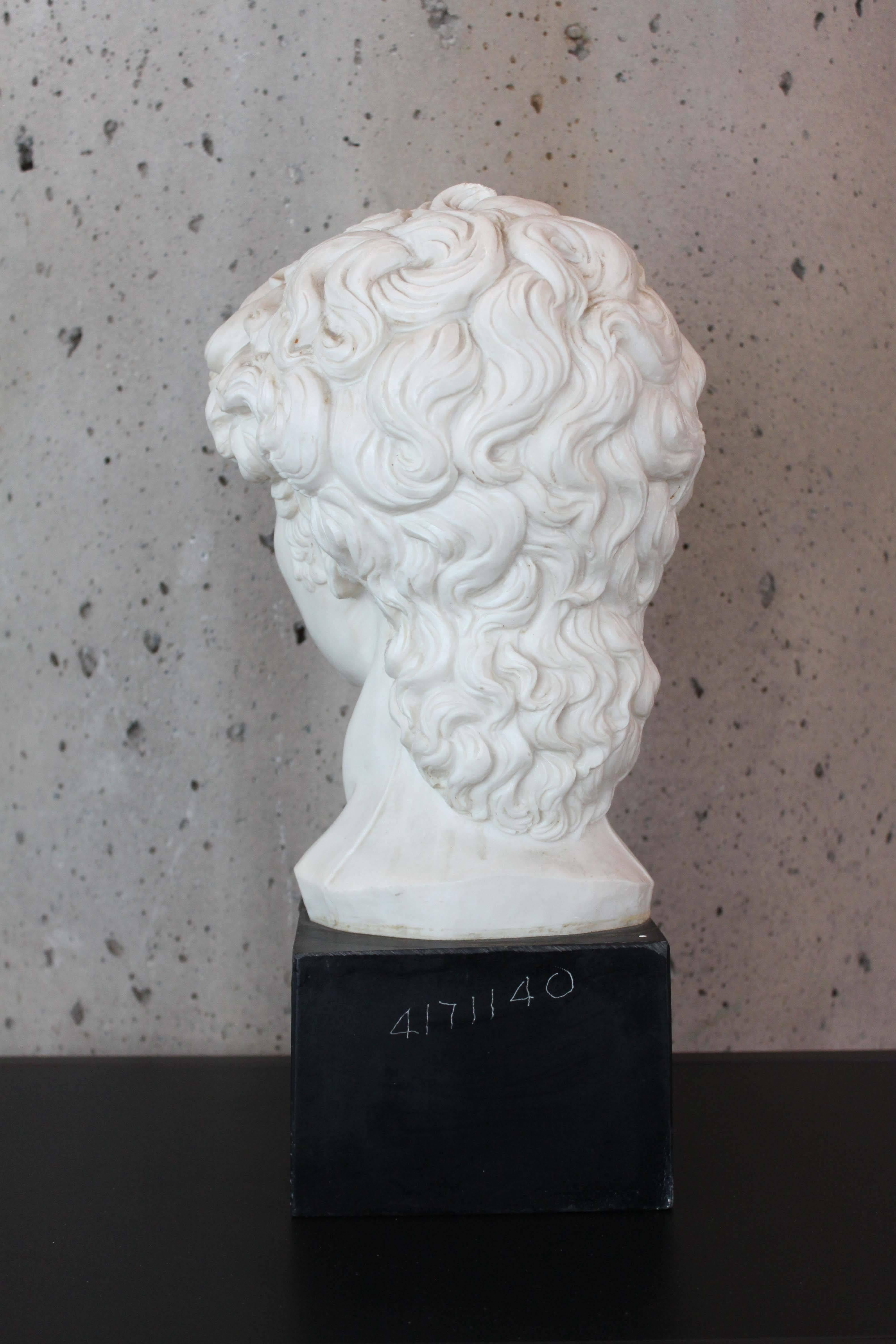 Canadian Vintage Neoclassical Bust For Sale