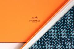 Hermès Silk Tie
