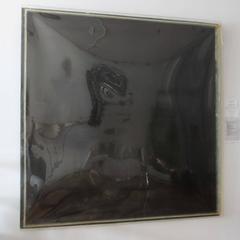 Ron Cooper "The Light Trap"