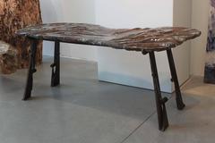 Polished Orthoceras Fossil Bench