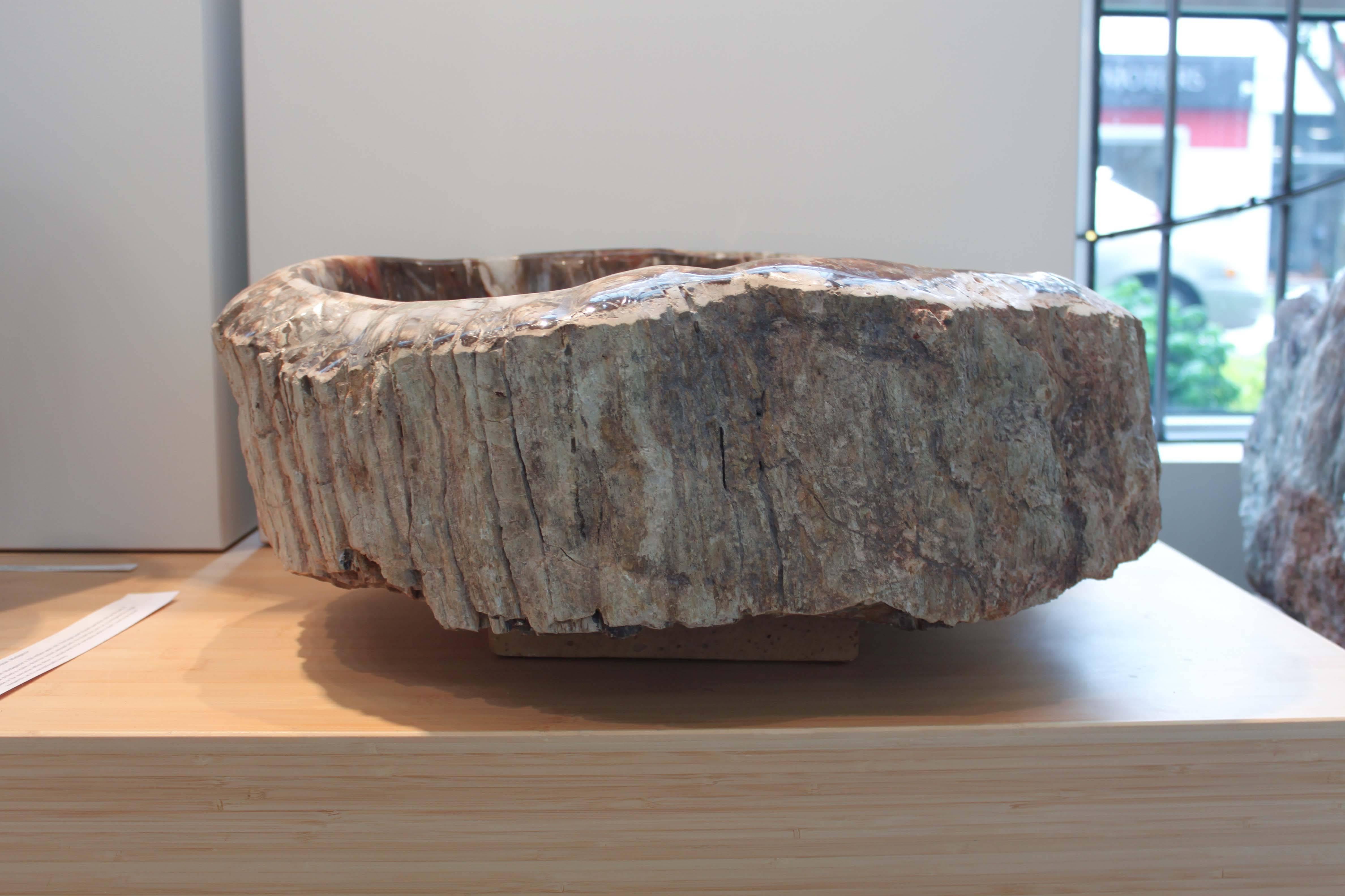 This petrified wood bowl formed in Madagascar is over 250 million years old and still has its bark. Beautiful variation in color, polished interior could be drilled to make the most unusual sink.