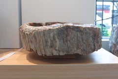 Petrified Wood Bowl from Madagascar