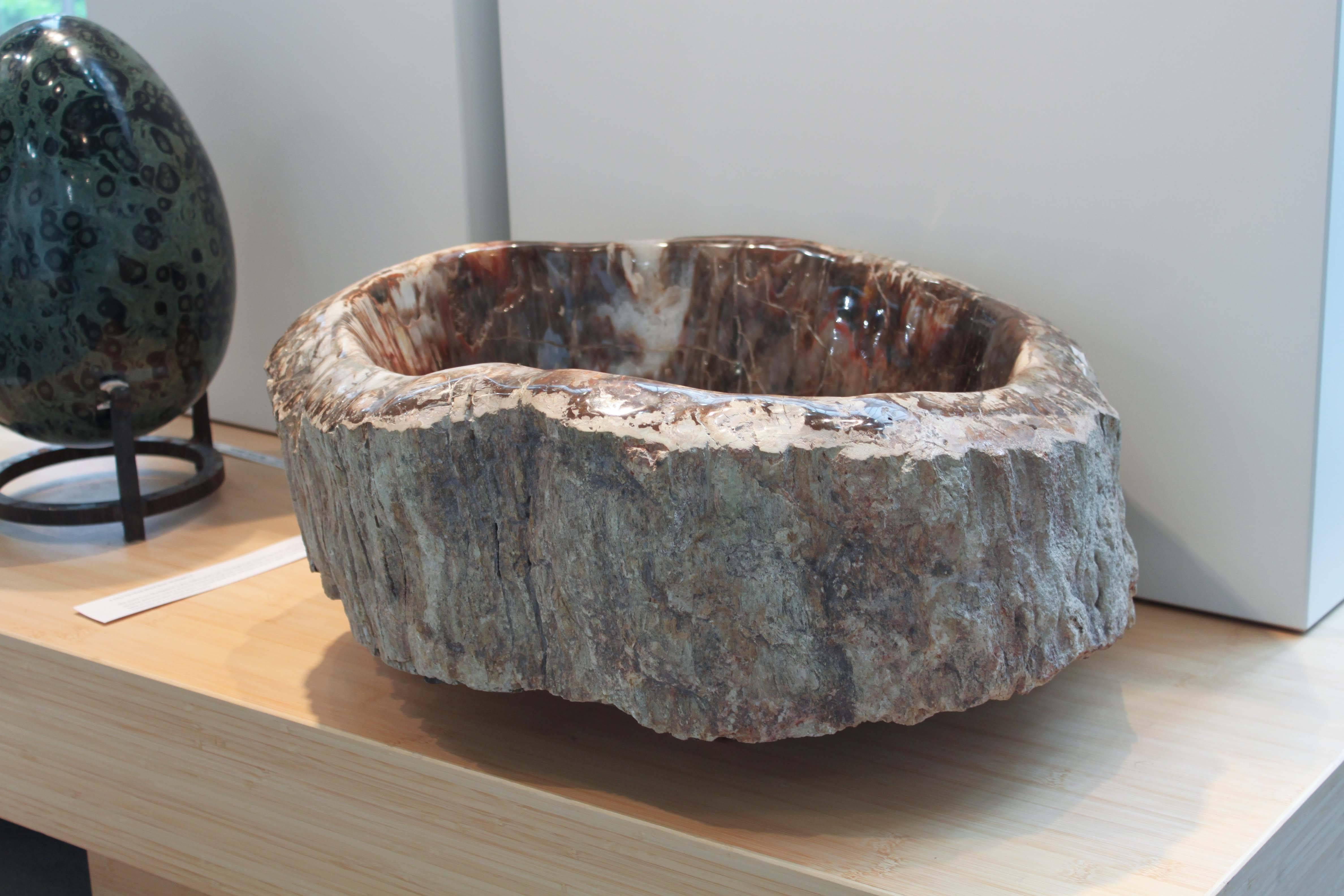 Prehistoric Petrified Wood Bowl from Madagascar For Sale