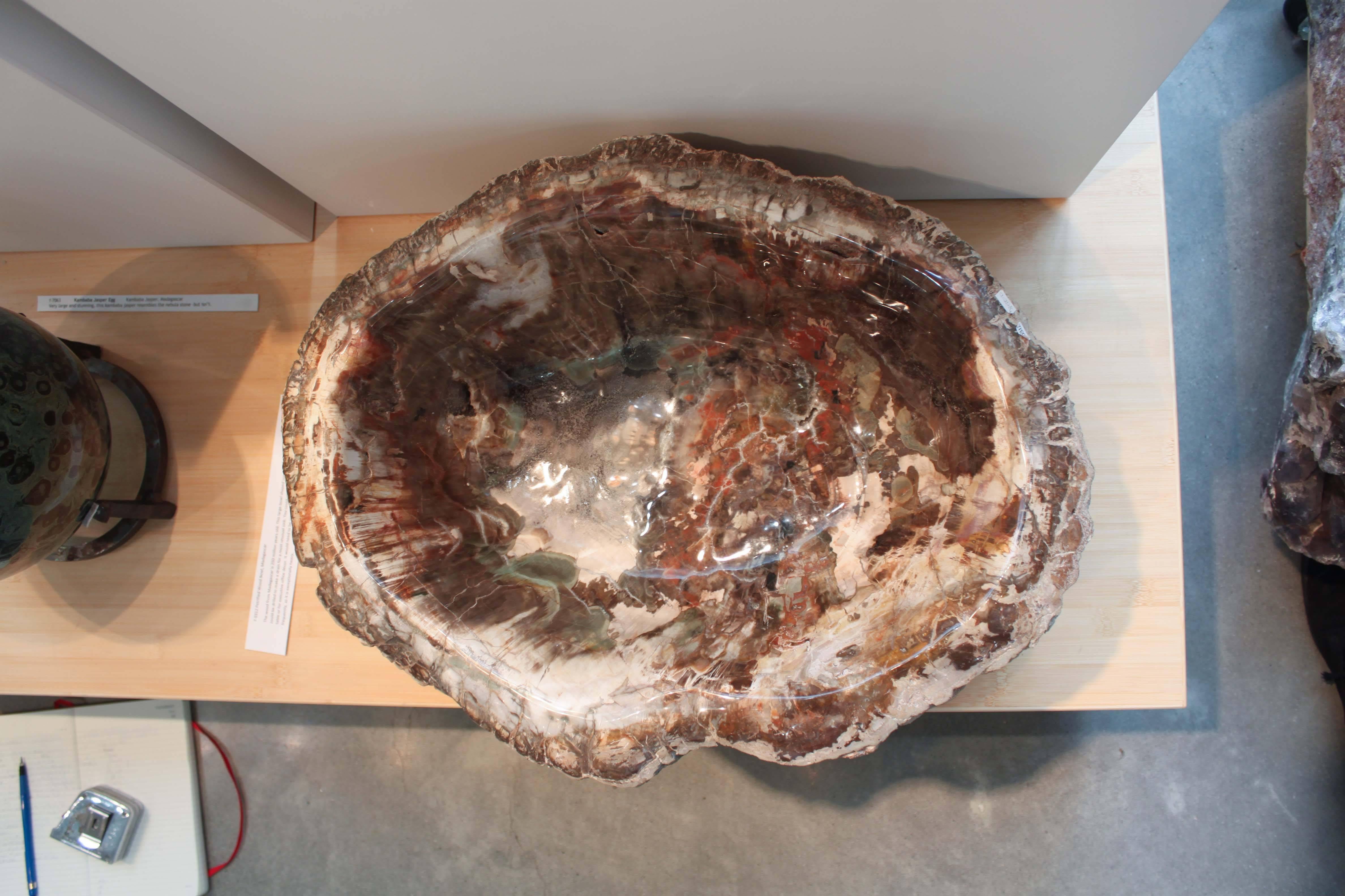 Malagasy Petrified Wood Bowl from Madagascar For Sale