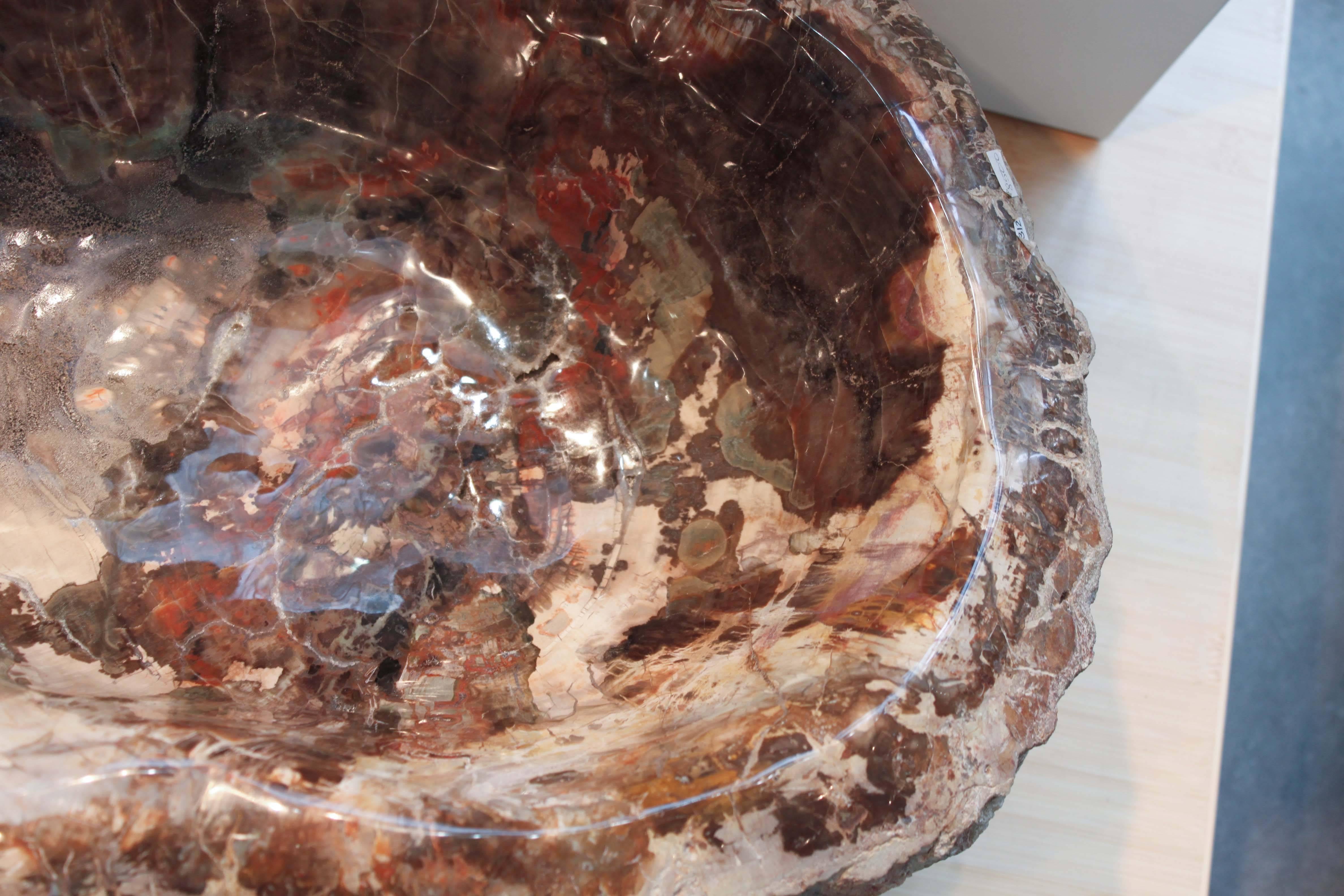 Petrified Wood Bowl from Madagascar For Sale 2