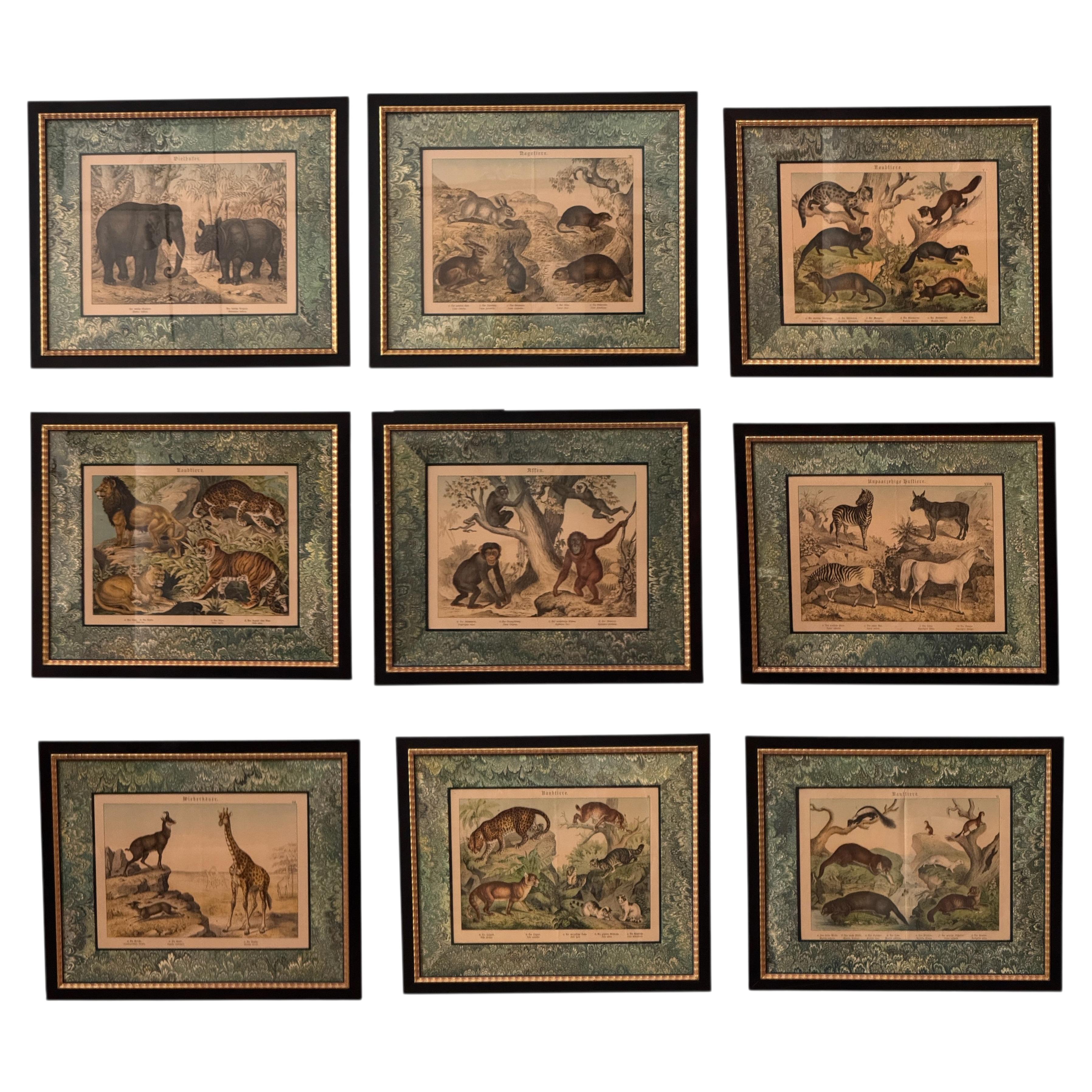 Set of Nine Gotthilf von Schubert Natural History Chromolithographs For Sale