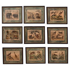 Set of Nine Gotthilf von Schubert Natural History Chromolithographs