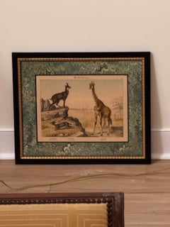 Set of Nine Gotthilf von Schubert Natural History Chromolithographs