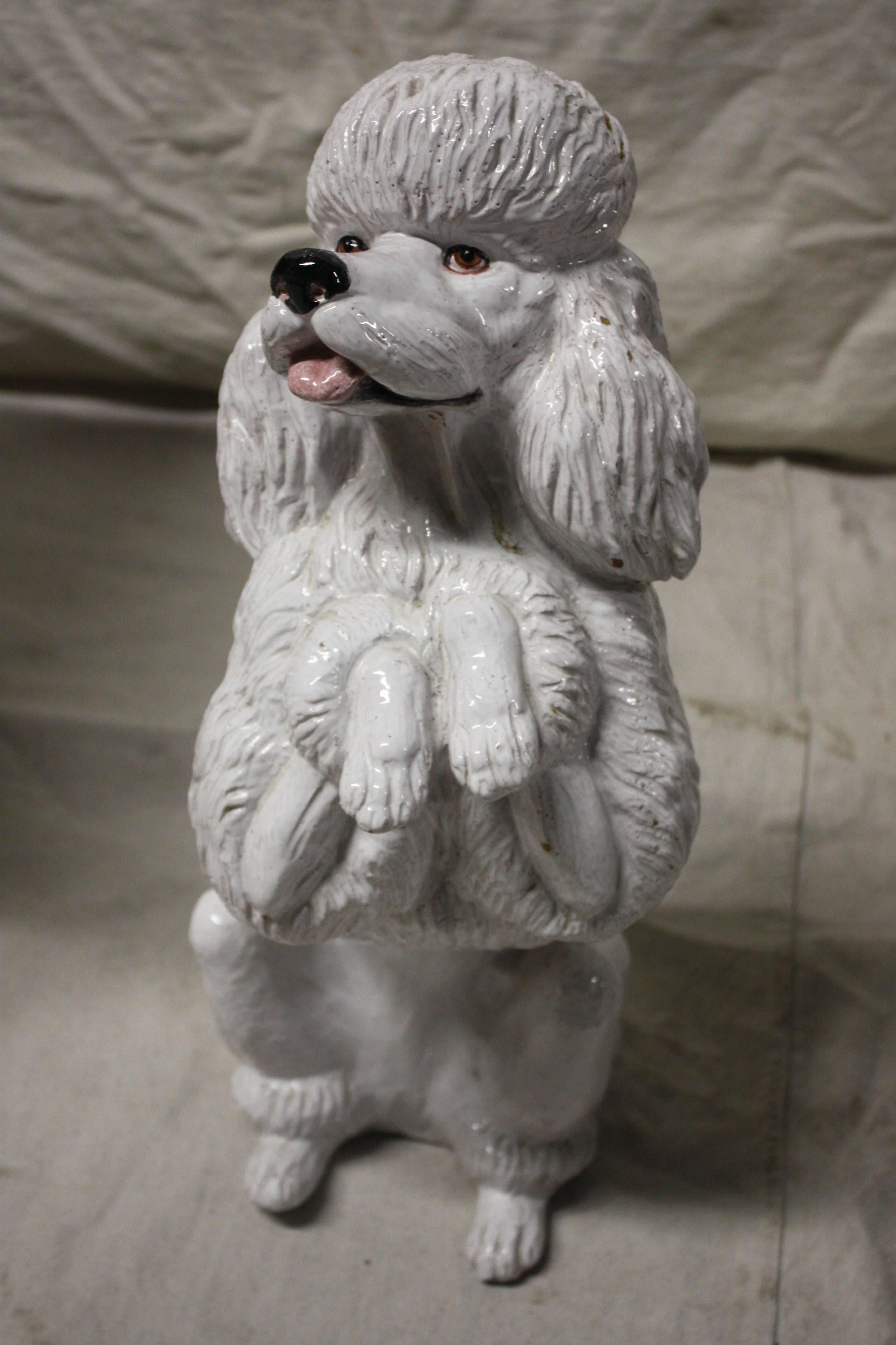 Mid-20th century charming poodle dog, Italian fabrication in terra cotta, circa 1950.