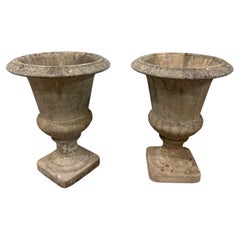 French Pair of Medicis Planters