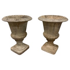 French Pair of Medicis Planters