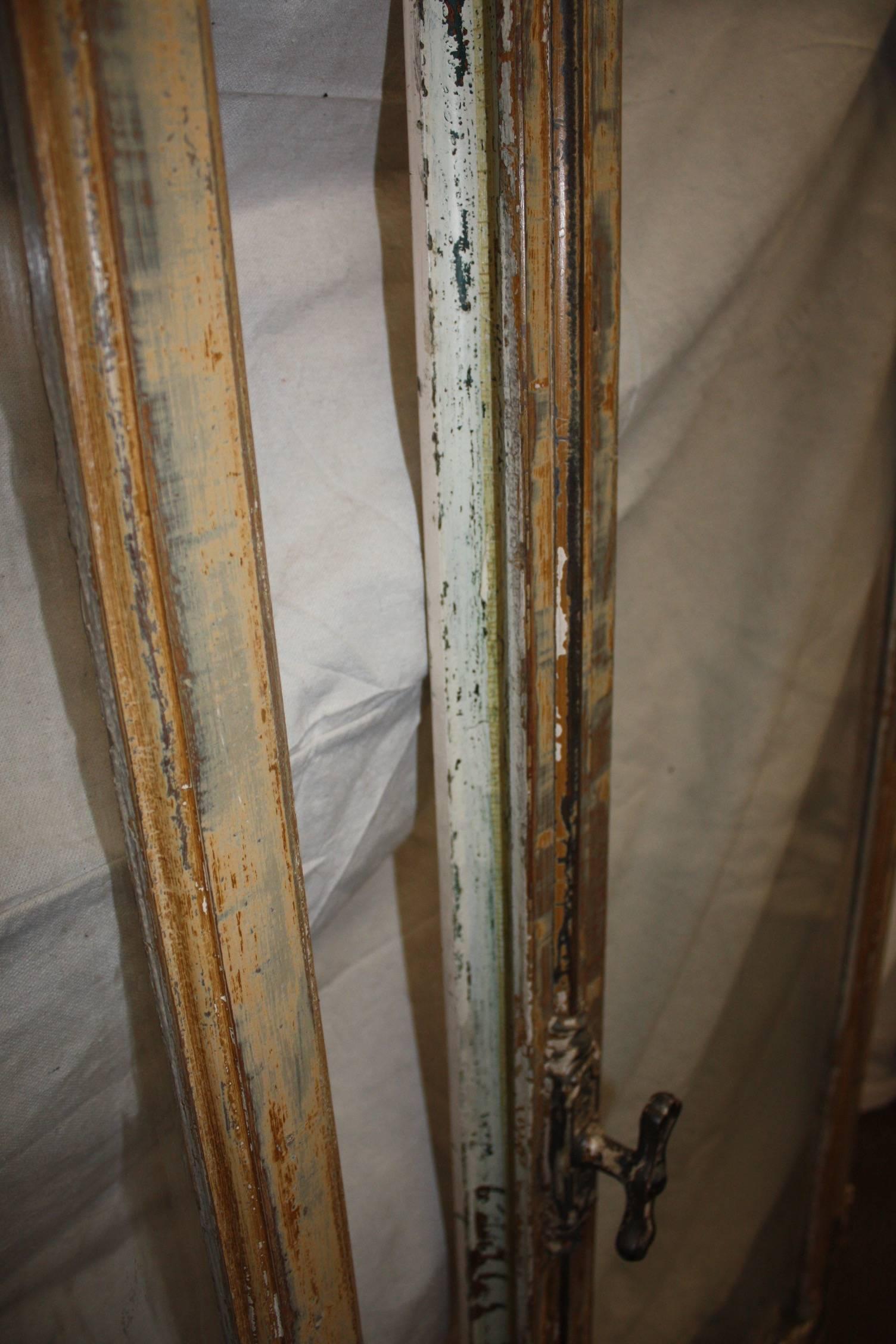 French 19th Century Pair of Doors 4
