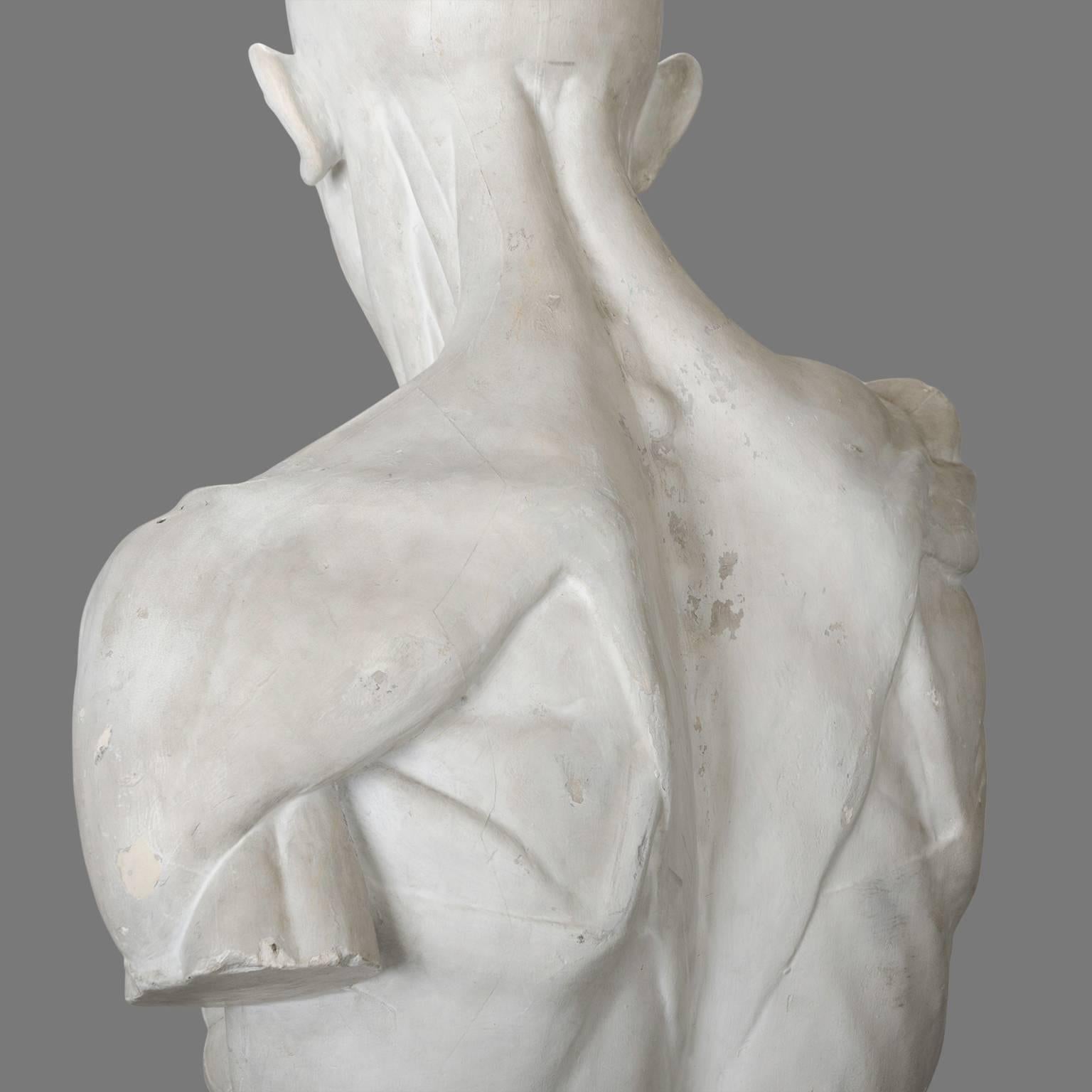 Early 20th Century Two Skinned Anatomic Plaster Models after Houdon