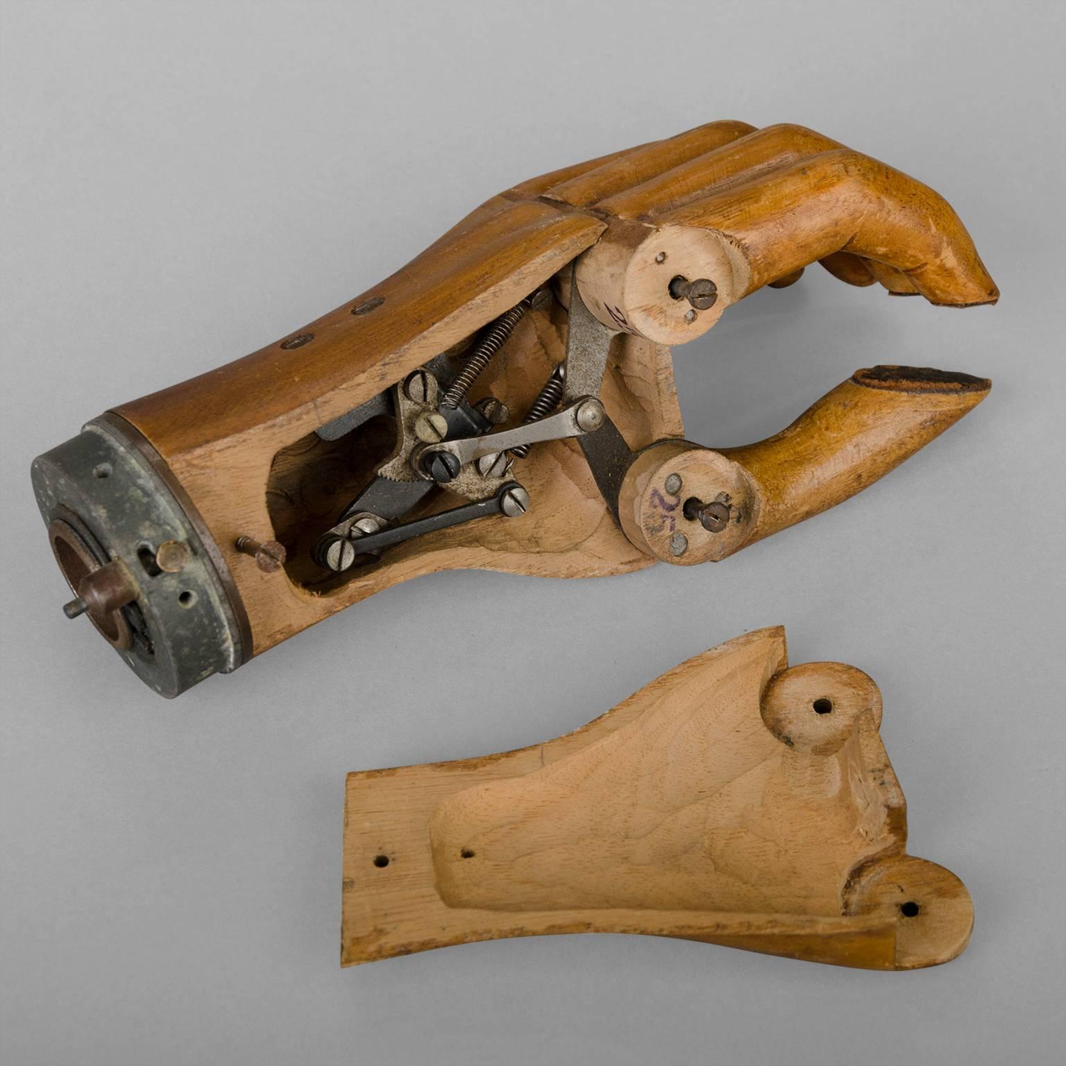 This carved wood prosthesis is equipped with two mechanisms in working condition:

The first, at the wrist, allowing the rotation of the entire hand.

The second, by a toothed rack system, allows the grip of objects between the thumb, index and