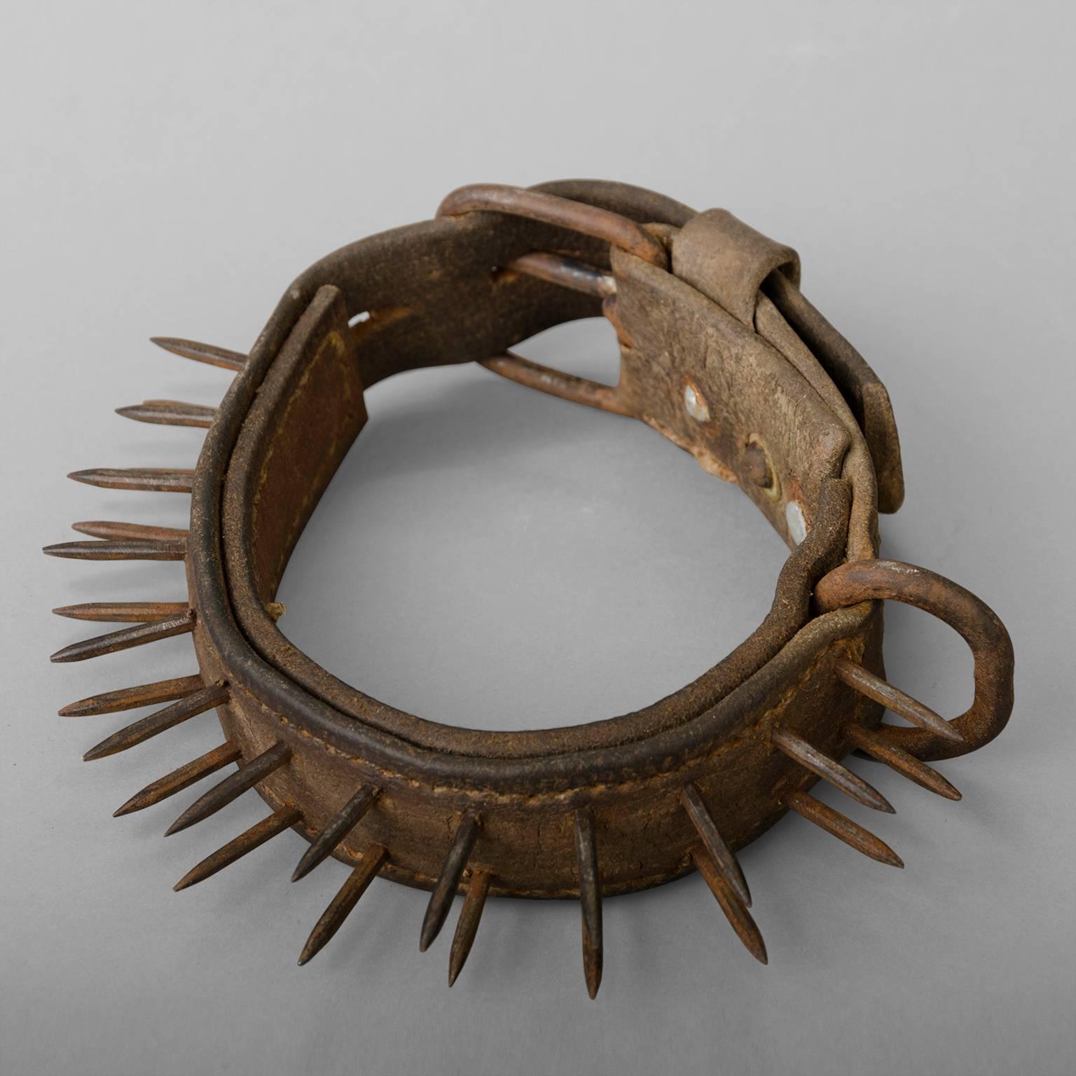 These collars were for sheepdogs to protect them from wolves attacks, leather and wrought iron spikes. circa 1880