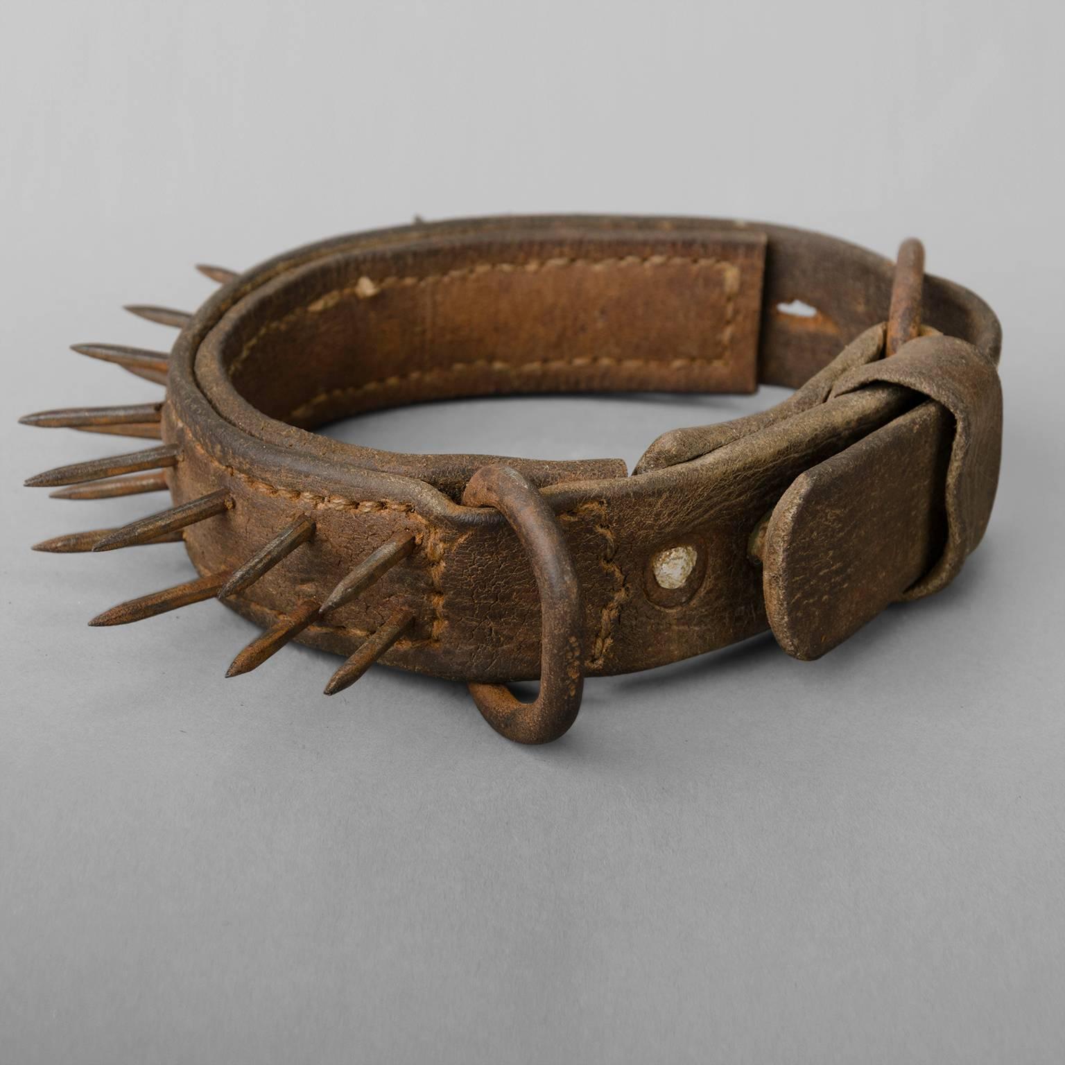 Late 19th Century Mastiff Collar so called 