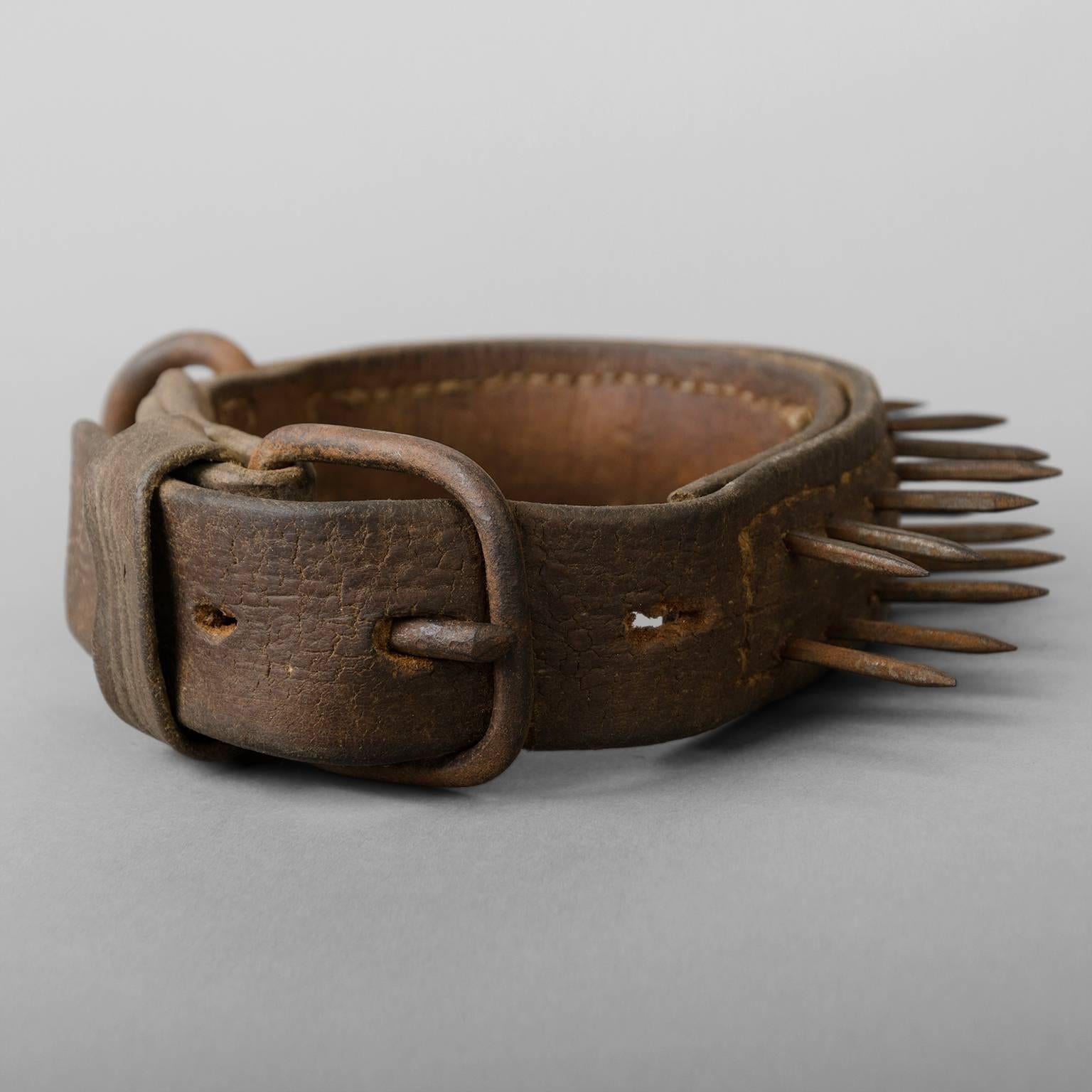 French Late 19th Century Mastiff Collar so called 