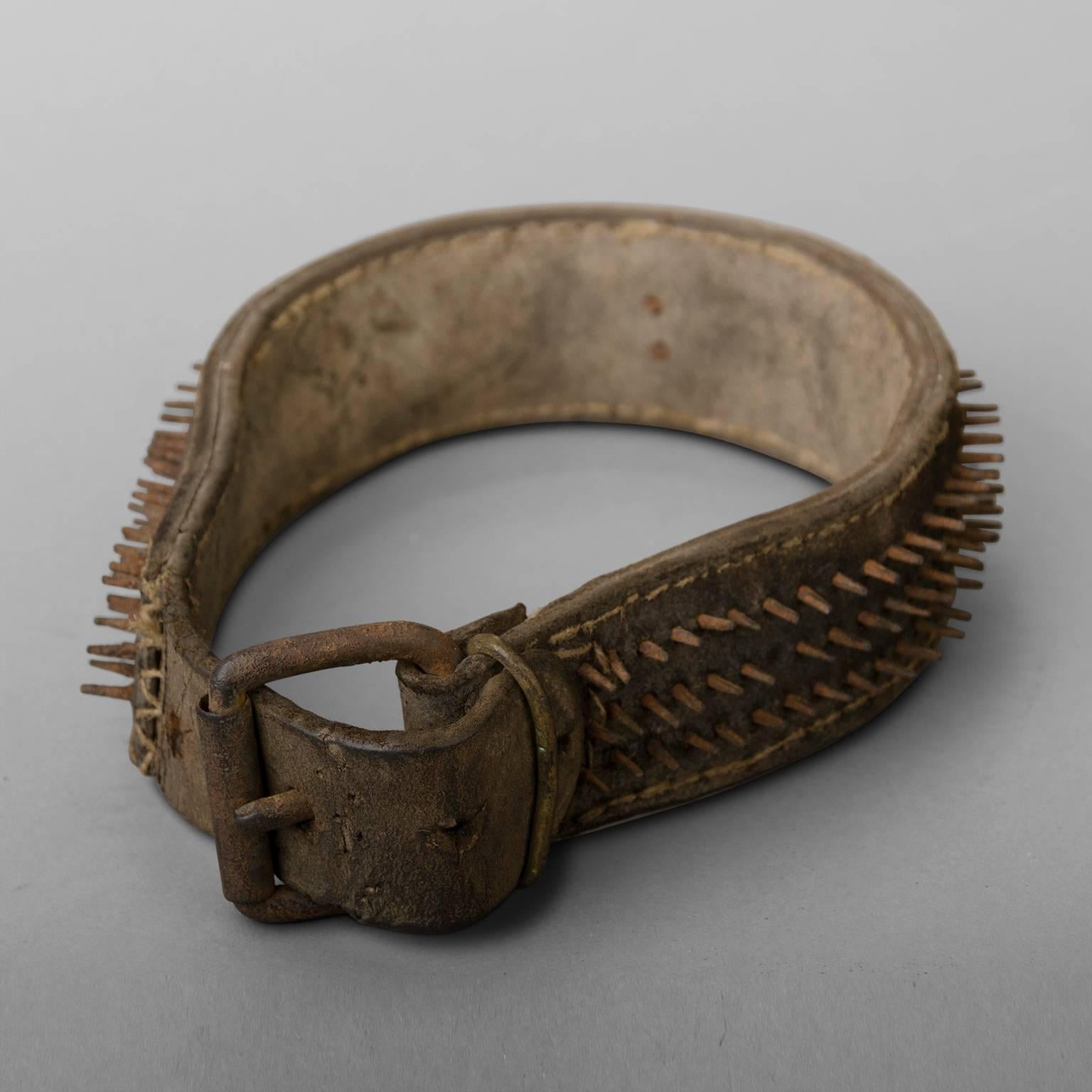 Late 19th Century Mastiff Collar in Leather In Fair Condition For Sale In Saint-Ouen, FR