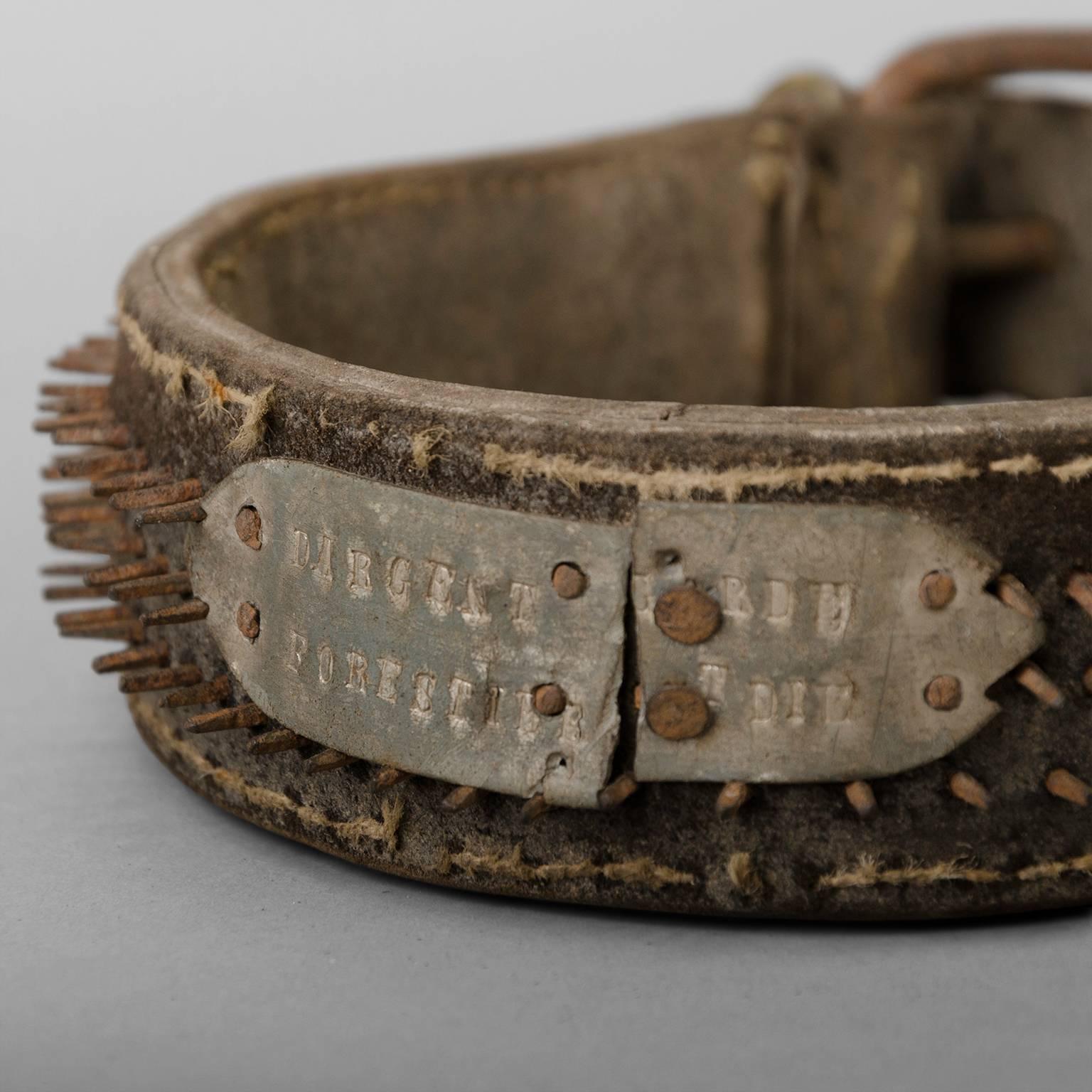French Late 19th Century Mastiff Collar in Leather For Sale
